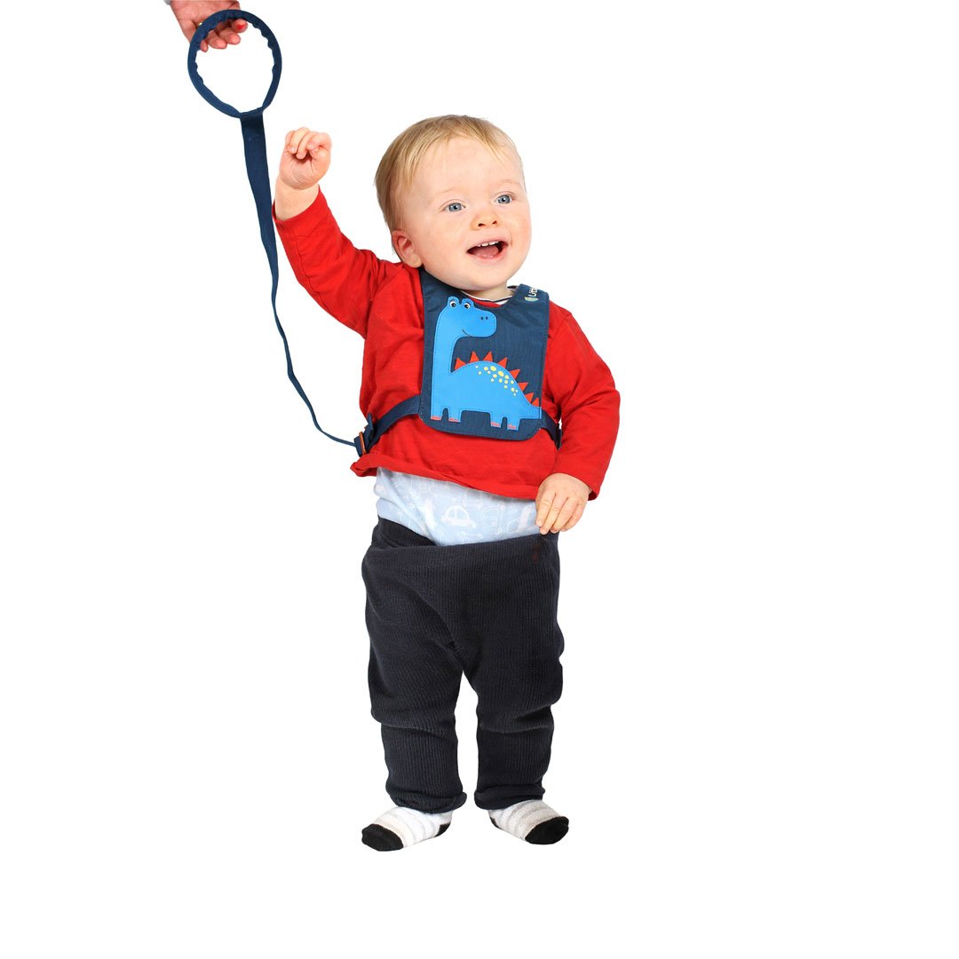 LittleLife Dinosaur Toddler Safety Harness - Adjustable Walking Reins for Kids 1-3 Years | Cute Dino Backpack Leash for Child Safety in Crowds, Parks & Shopping