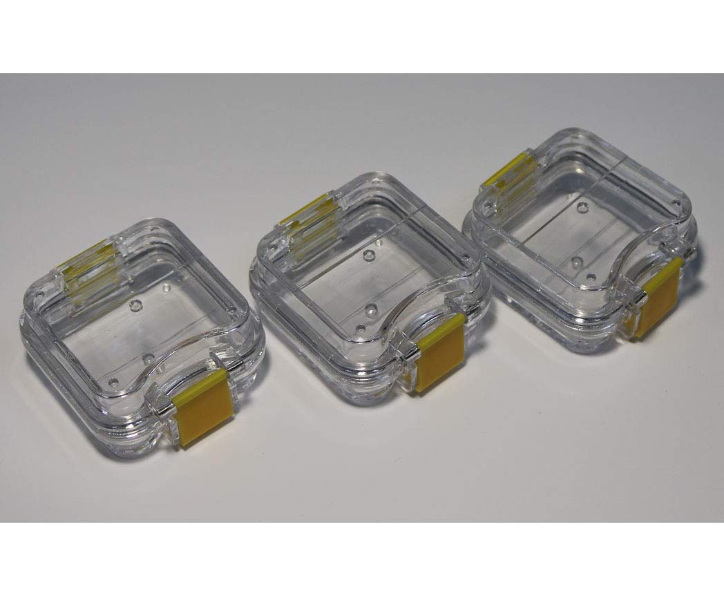50-Pack Dental Tooth Boxes with Film - Denture Storage Containers for Lab Supplies & Teeth Protection | Ideal for Dental Clinics, Laboratories & Home Use