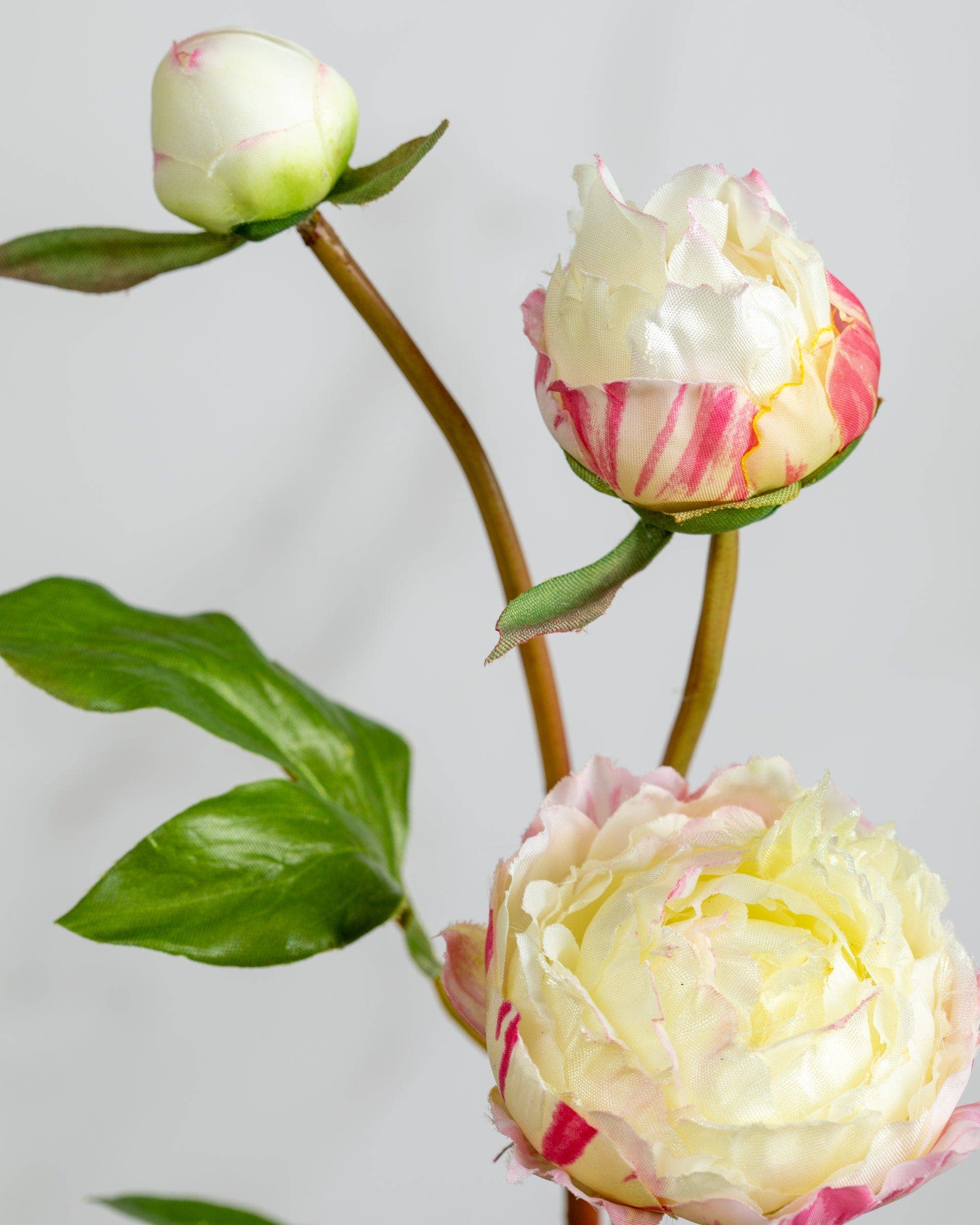 Artificial White and Pink Peony Spray - 19