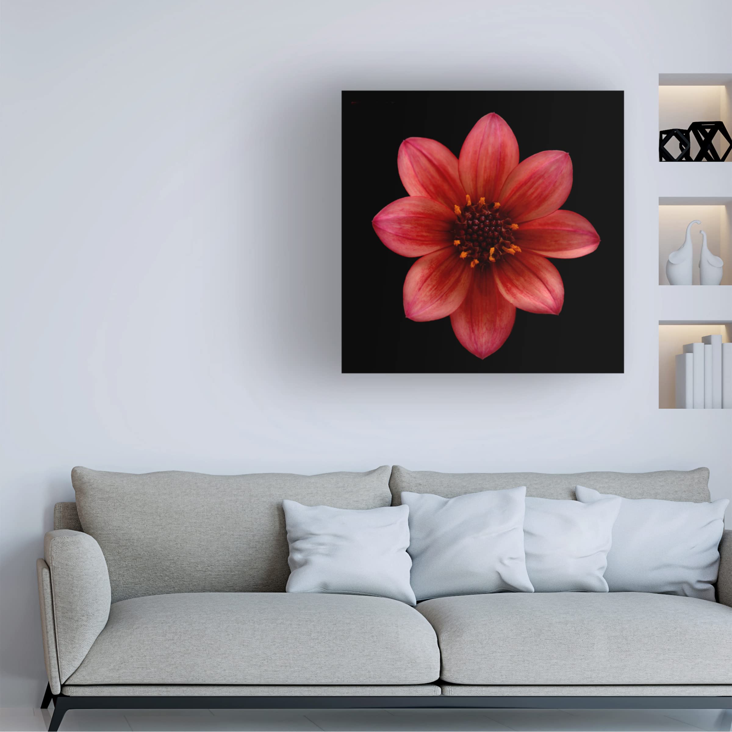 Trademark Fine Art 'Red Dahlia' Canvas Wall Art by Lotte Gronkjaer - Floral Painting for Living Room, Bedroom & Office Decor