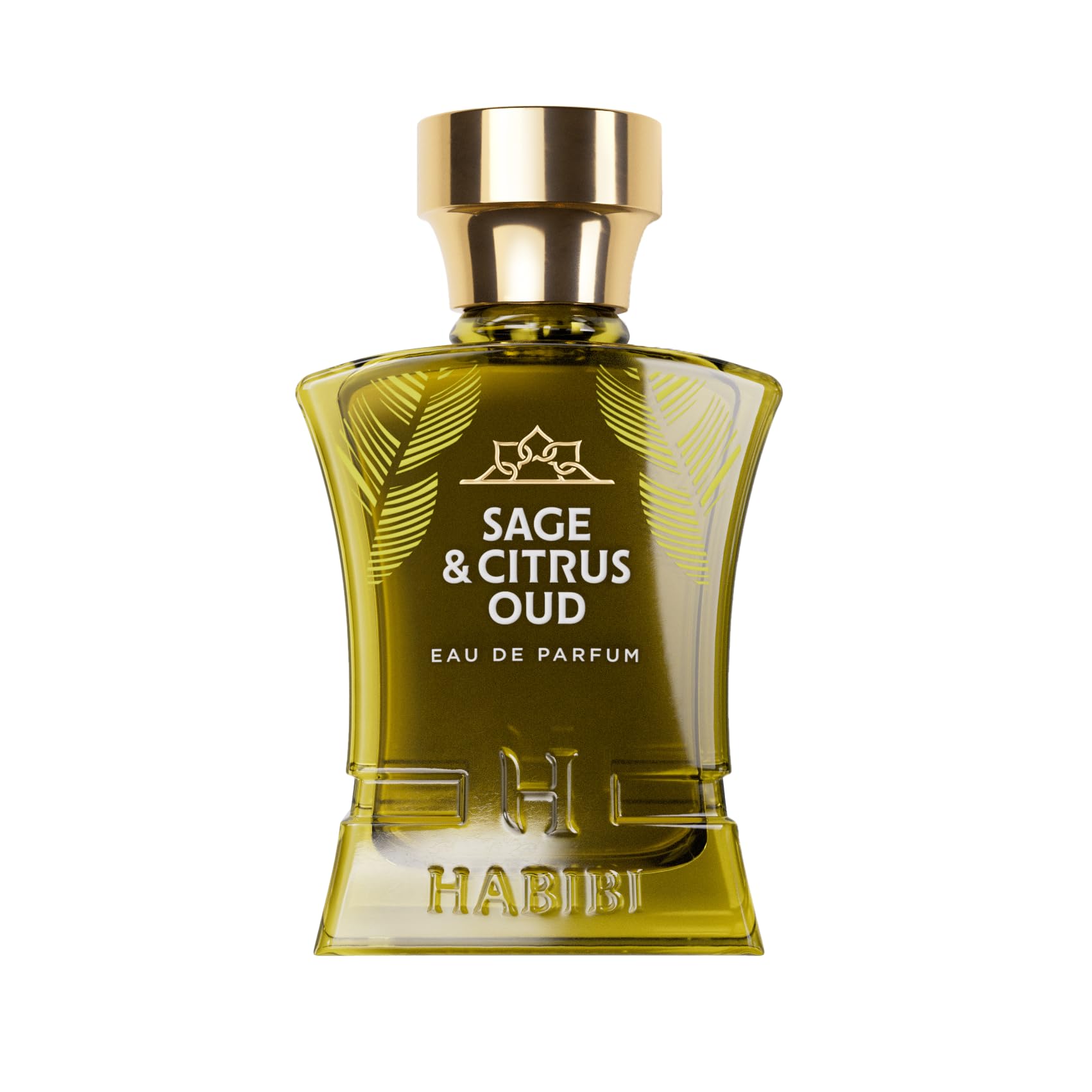 Premium Sage & Citrus Oud Arabian Cologne for Men - Fresh Woody Citrus Perfume with Sage, Oud & Patchouli - Long Lasting Eau de Parfum with Exotic Notes - Perfect for Daily Wear, Office & Special Occasions