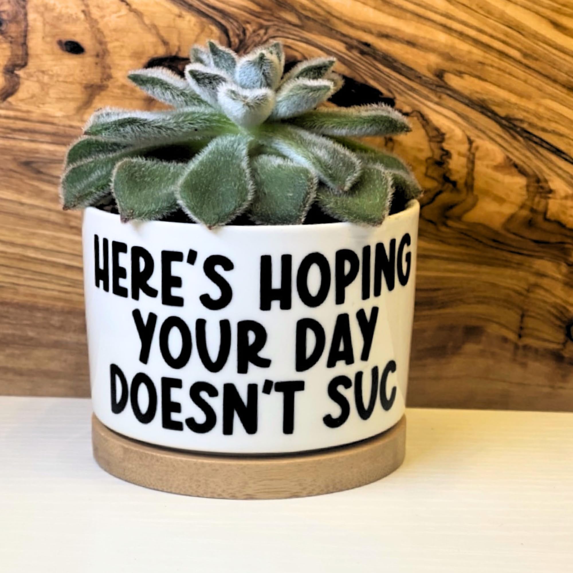 Stylish Ceramic Plant Pots with Inspirational Quotes - Small White Succulent, Cactus & Air Plant Pots - Perfect Unique Gift for Plant Lovers - Ideal for Home Decor, Office Desk & Indoor Gardening
