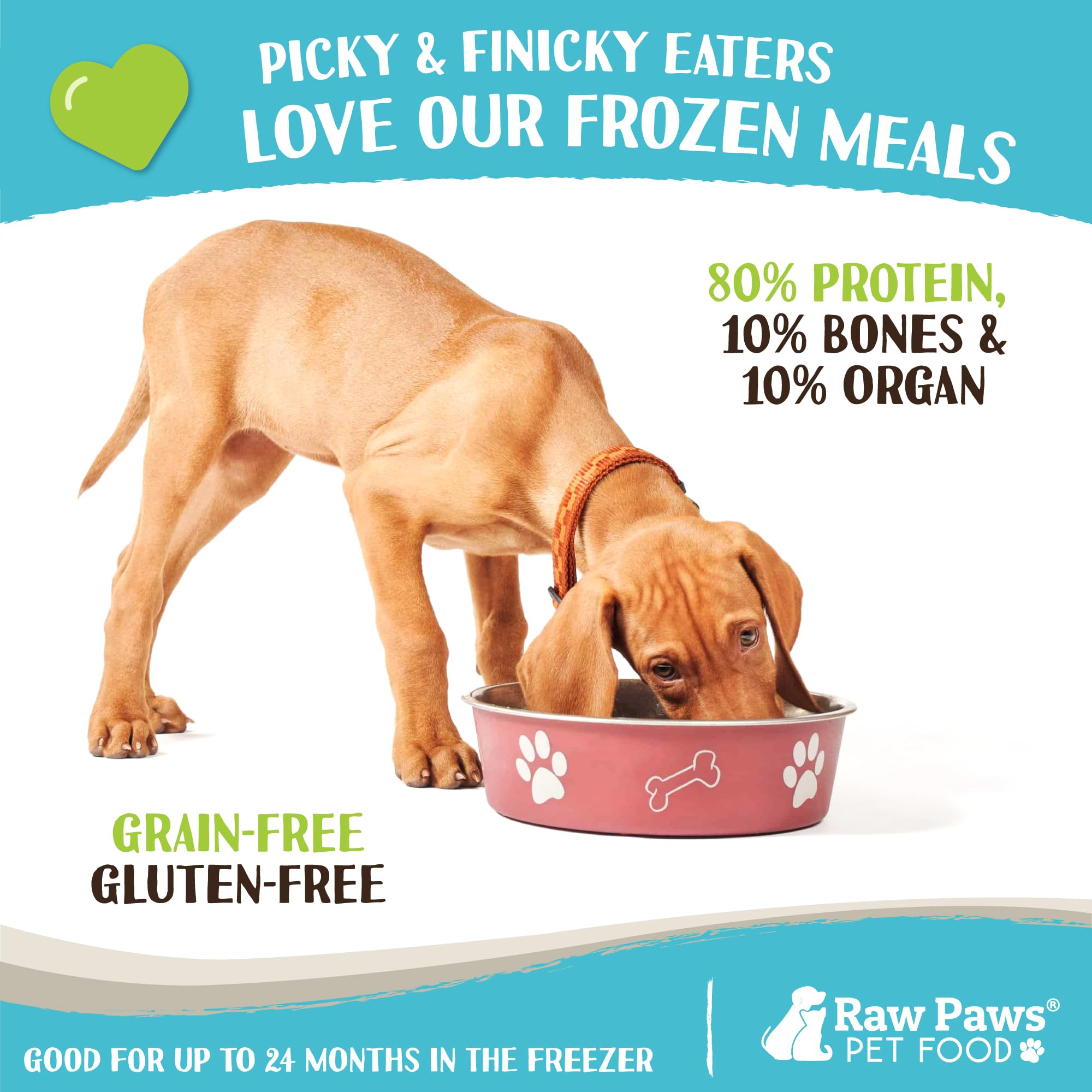 Raw Paws Signature Blend Natural Raw Pet Food for Dogs & Cats - Chicken Recipe, 1-lb Rolls (20 Pack) - Grain-Free, Human-Grade, Made in USA - Perfect for Raw Diet Meal Prep & Freezer Storage