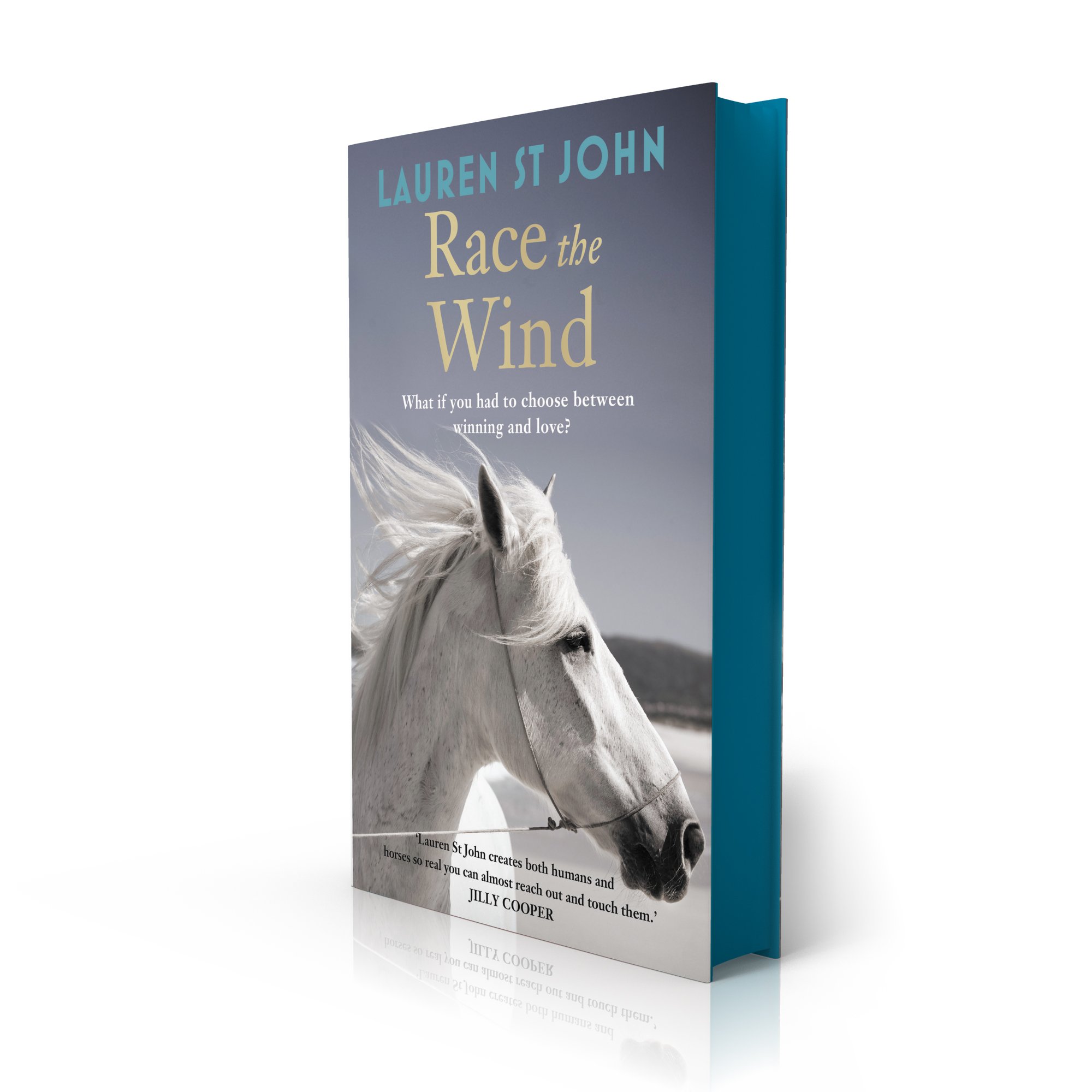 The One Dollar Horse: Race the Wind - Book 2 | Equestrian Adventure Novel for Teens & Young Adults | Perfect for Horse Lovers & Fantasy Readers