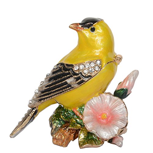 Canary Bird