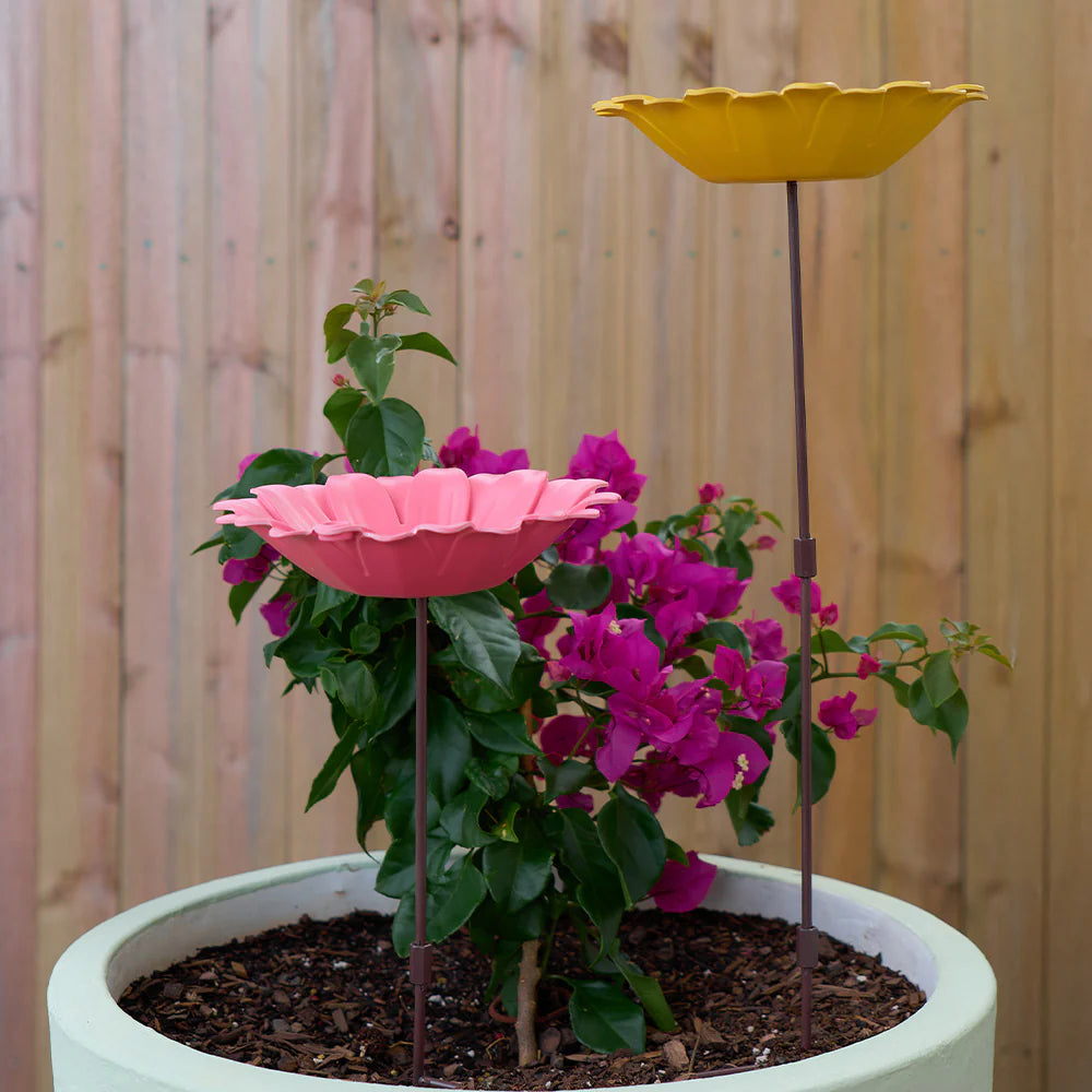 Annabel Trends Yellow Bamboo Sunflower Bird Bath - Outdoor Garden Decoration for Birds & Wildlife Attraction