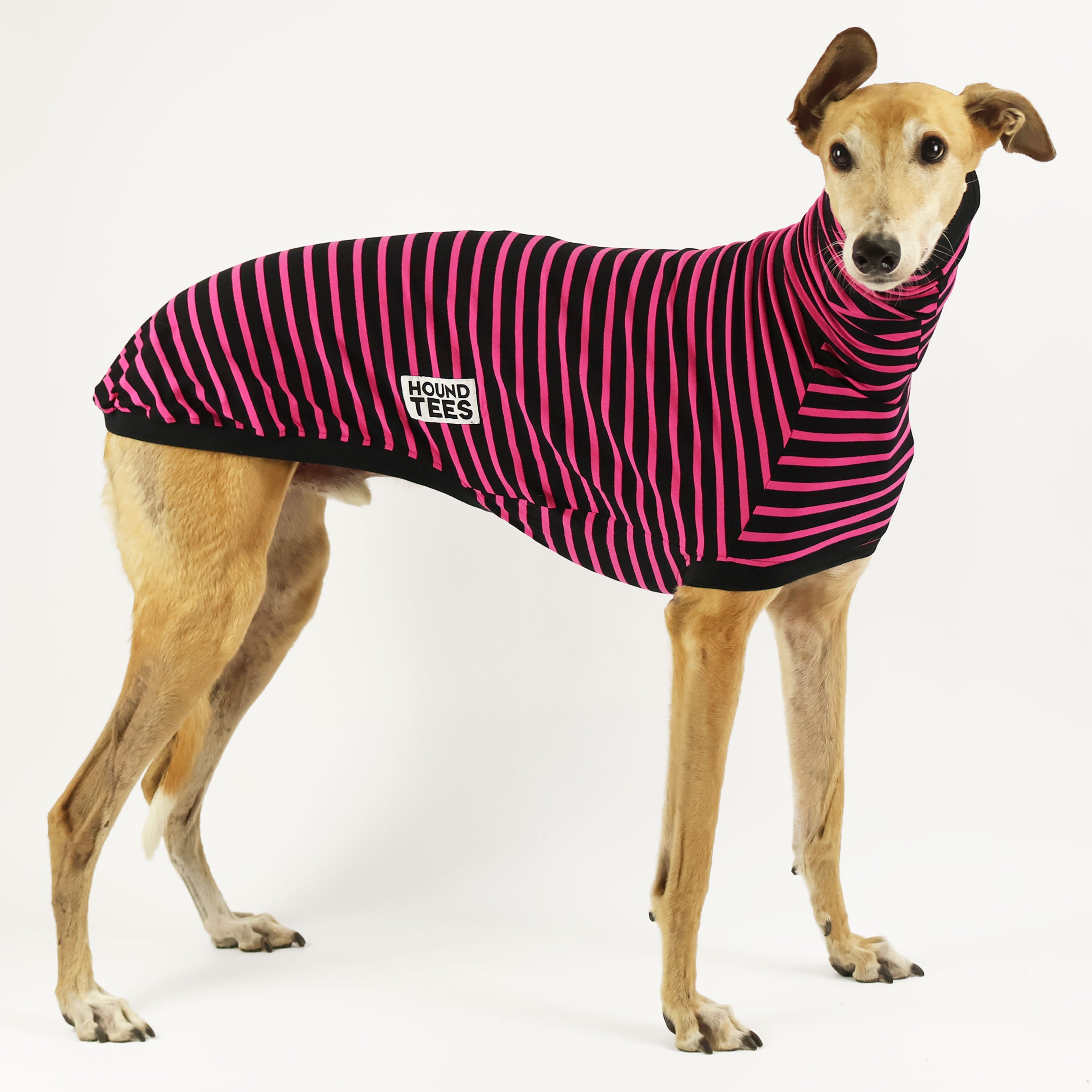 Sk8er Hound Greyhound Graphic Sleeveless T-Shirt for Dog Lovers - Perfect for Skateboarding, Casual Wear & Pet Owner Fashion