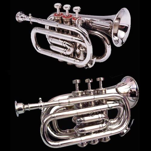 Shreyas Natural Nickel Finish Bb Pocket Trumpet - Compact & Portable Brass Instrument for Beginners, Students & Travel - Perfect for Practice, Performances & Music Classes