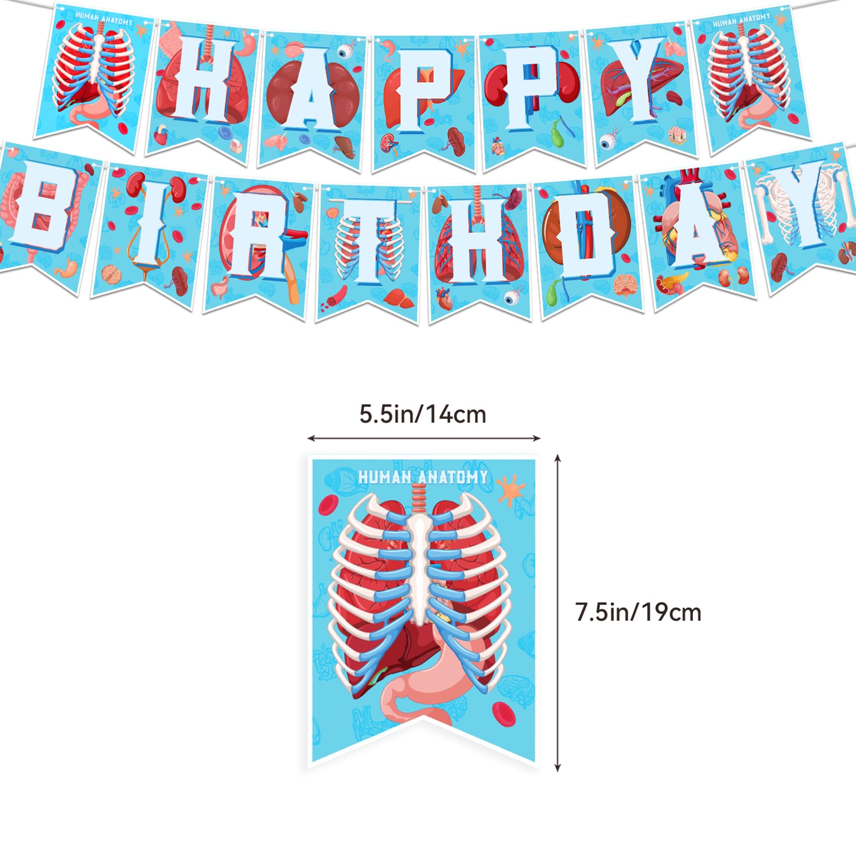Human Anatomy Party Decorations Set - Happy Birthday Banner, Cake Topper, Cupcake Toppers & Balloons for Medical Themed Parties, Halloween Decor, Science Classroom Decorations
