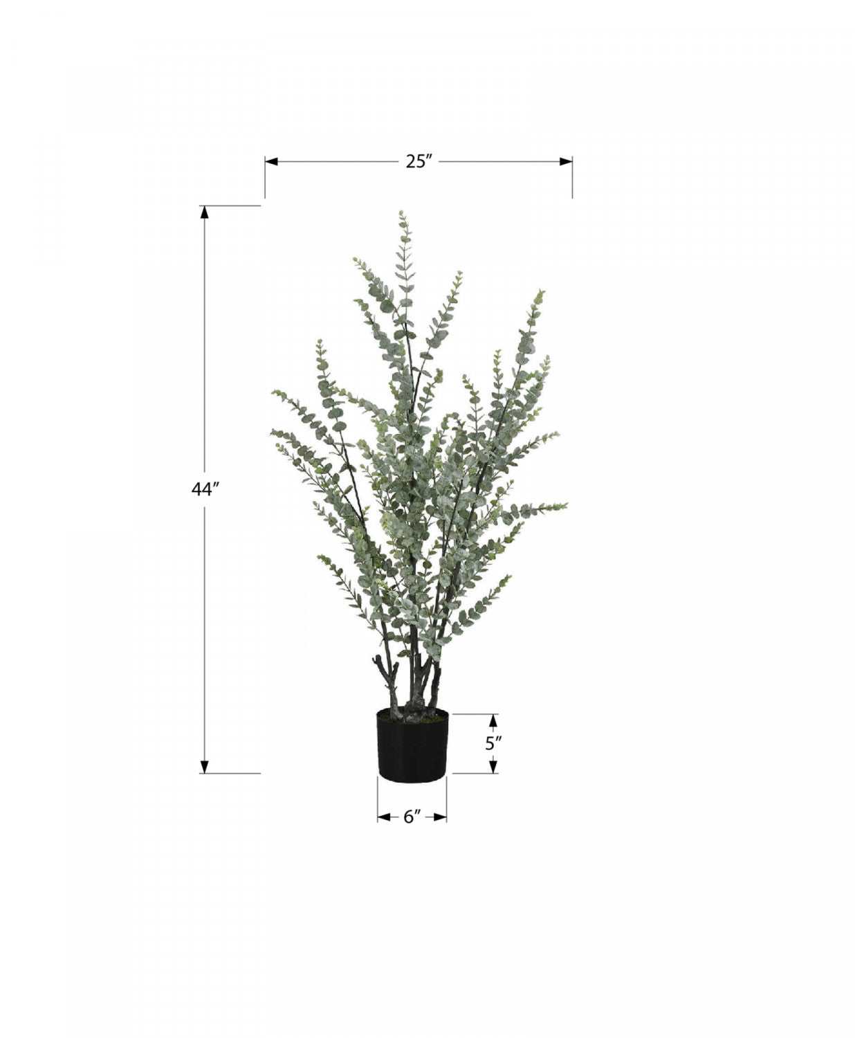 44 Pack Eucalyptus Plants in 5 Black Pots - Fresh Green Indoor/Outdoor Decor for Home, Office, and Garden Landscaping