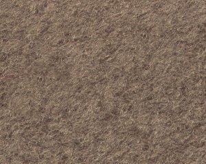 8835-Medium Beige Plush Cut Pile