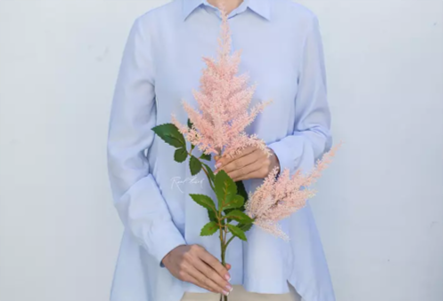 Real Touch Astilbe Branch - 24