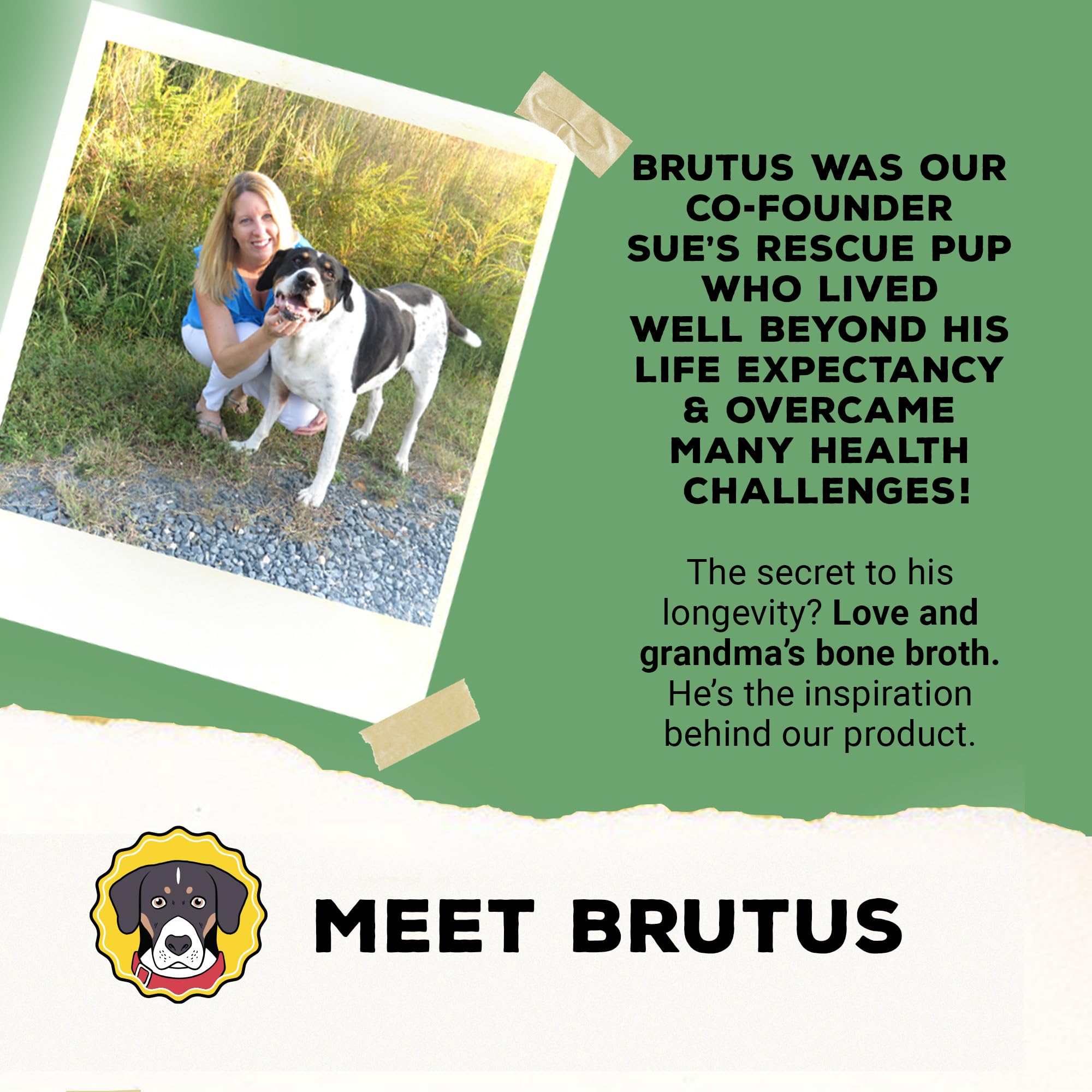 Brutus All-Natural Vegetable Broth for Dogs 192oz (6-Pack) | USA Made Human-Grade Dog Food Topper with Omega & Turmeric for Skin & Coat Health | Hydrating Gravy & Treat Sauce for Salmon Flavor | Perfect for Senior Dogs, Picky Eaters & Meal Enhancement