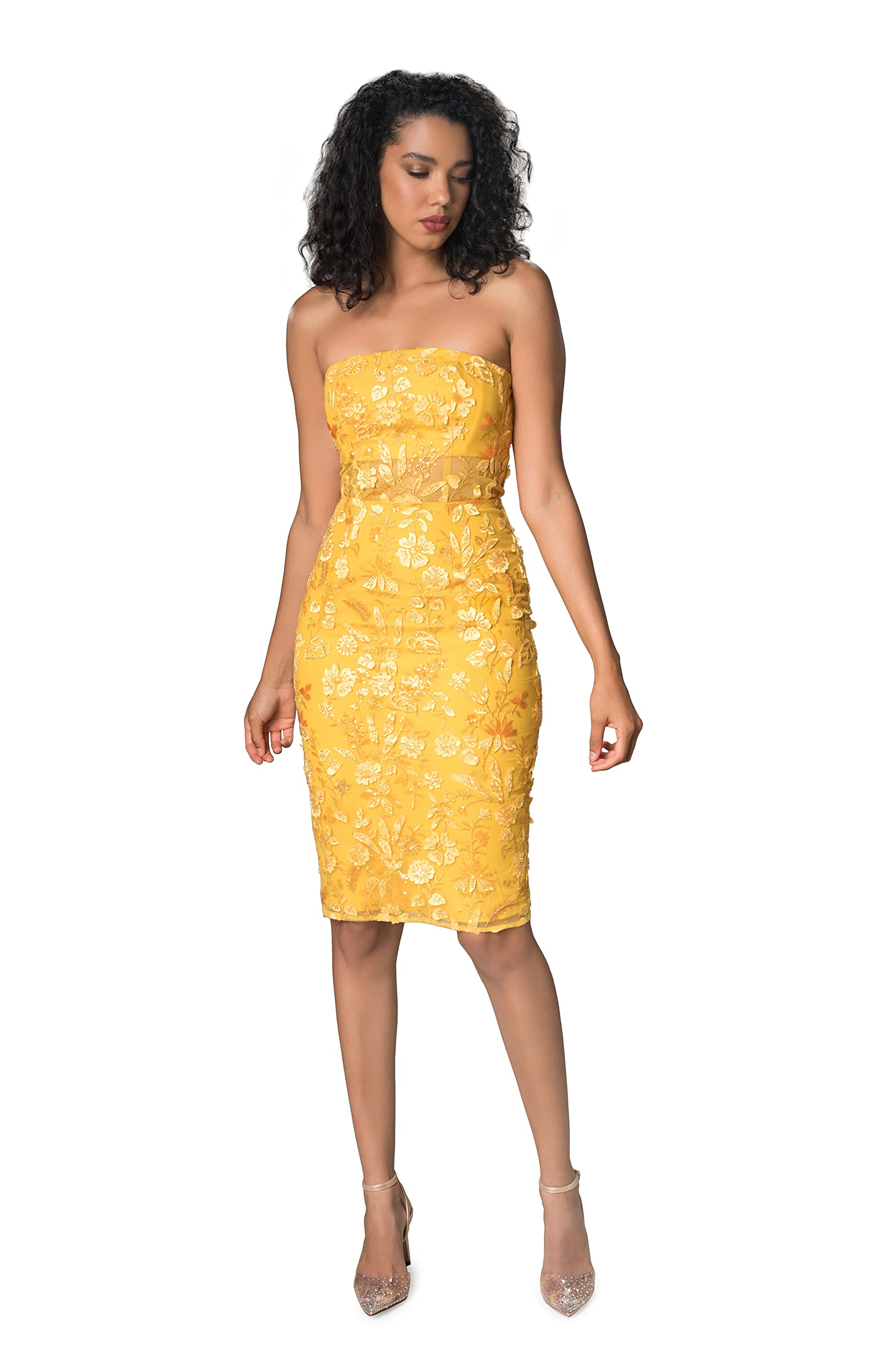 Dress the Population Women's Ynez Bodycon Midi Dress - Slim Fit Stretchy Party Cocktail Dress for Night Out, Date Night & Special Occasions