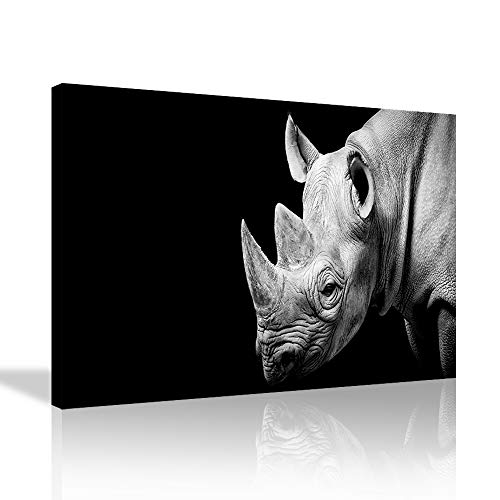 Animal wall art 35