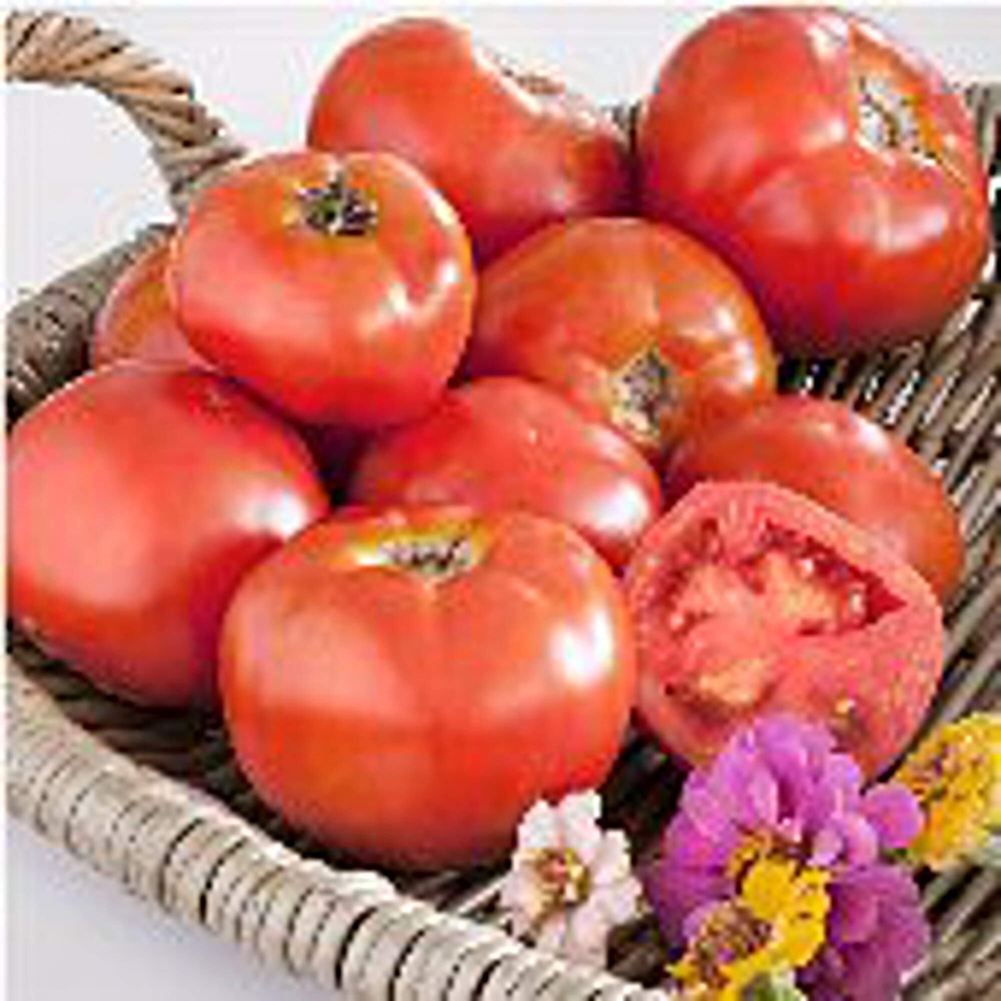 Non-GMO Marion Tomato Seeds (20+ Seeds) - Heirloom Vegetable & Fruit Seeds for Planting | Home Garden, Greenhouse, Backyard Farming | Perfect for Fresh Salads, Sauces & Canning