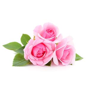 Petitfee Rose Wash Off Mask with Antioxidants & Vitamins - Collagen Boosting, Dark Spot Reducing Facial Mask with Rose Extracts for Youthful Skin (3.52 oz) | Perfect for Nighttime Skincare Routine & Spa Day Self-Care