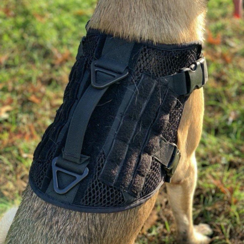 Artemis No Pull Dog Harness - Adjustable, Breathable, No Tug No Choke Pet Vest for Small Medium Large Dogs - Perfect for Walking, Running, Hiking & Outdoor Adventures