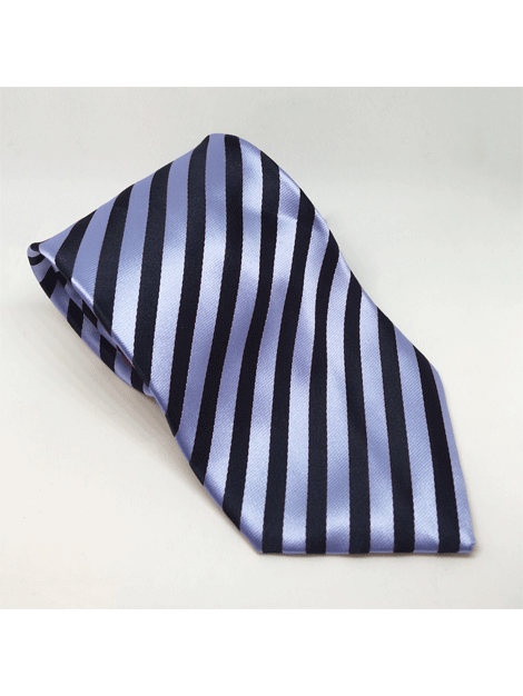 Navy / Light Blue
