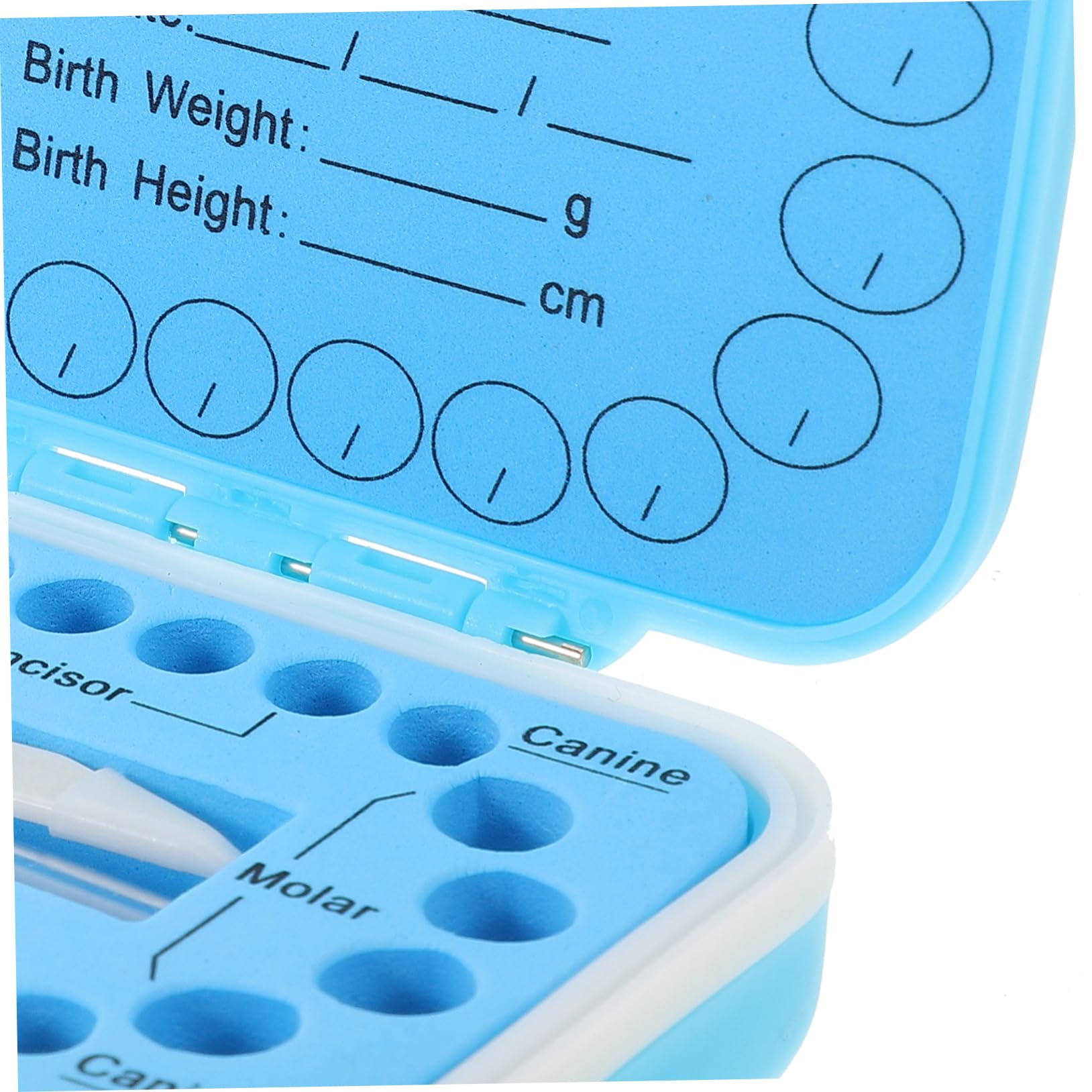 Toyvian Plastic Blue Tooth Storage Box with Box Teeth - Organize & Store Baby Teeth, Dental Collections - Perfect for Keepsakes, Dentist Visits & Memory Preservation