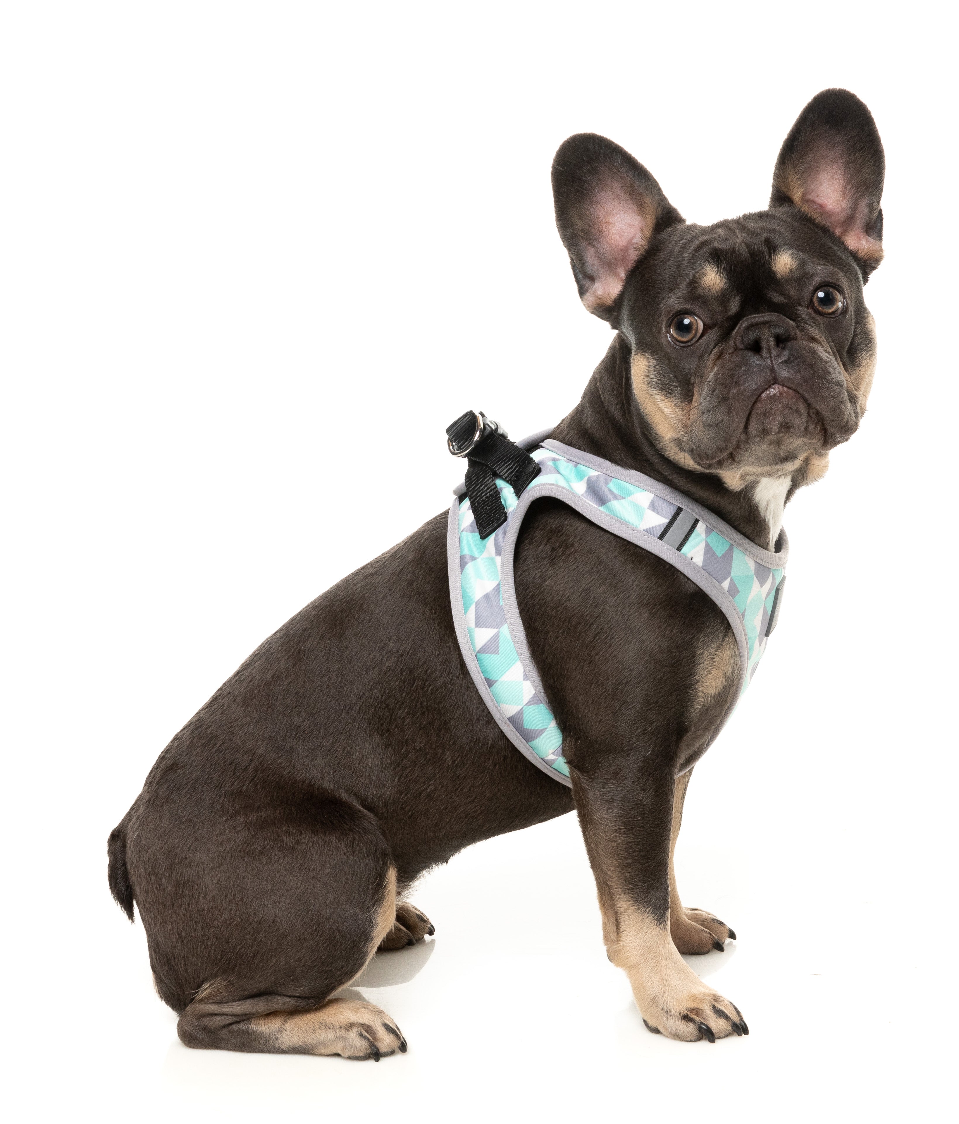 FuzzYard Mint Fizz Dog Step In Harness - Adjustable Pet Vest for Small Medium Dogs - Perfect for Walking, Training & Outdoor Adventures