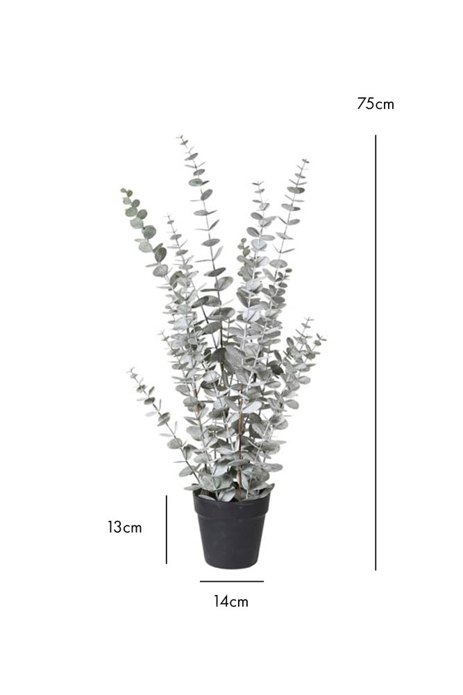 Artificial Eucalyptus Plant in Pot - Realistic Fake Greenery for Home Decor, Office, Wedding & Event Centerpieces