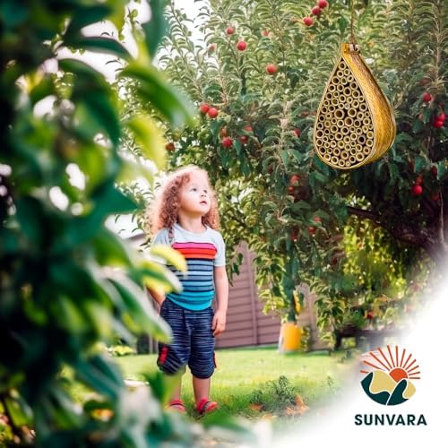 Wild Pollinator Mason Bee Habitat - Natural Garden Bee House for Pollination | Hanging Bee House Pack of 2 for Backyard, Orchard & Organic Farming