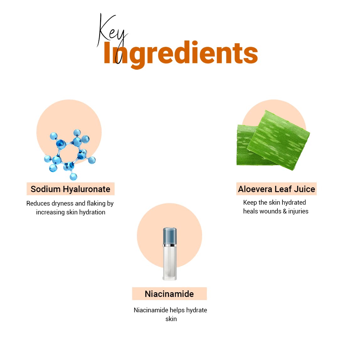 Vedic Line Aloe Vera Purifying Face Wash with Niacinamide - Reduces Dryness, Patchiness & Oiliness for Natural Radiance - 100ml - Perfect for Daily Skincare Routine & Diwali Gifts