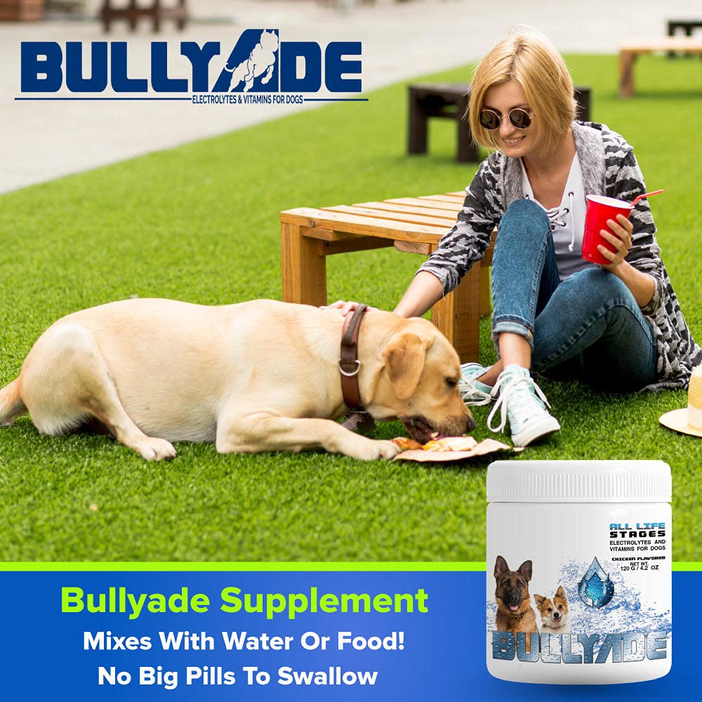 Premium Natural Dog Supplement with 18 Essential Vitamins, Minerals & Electrolytes - Chicken Flavor 4 Pack | Mixes Easily with Water or Food | Supports Immune Health, Digestion & Energy for Active Dogs