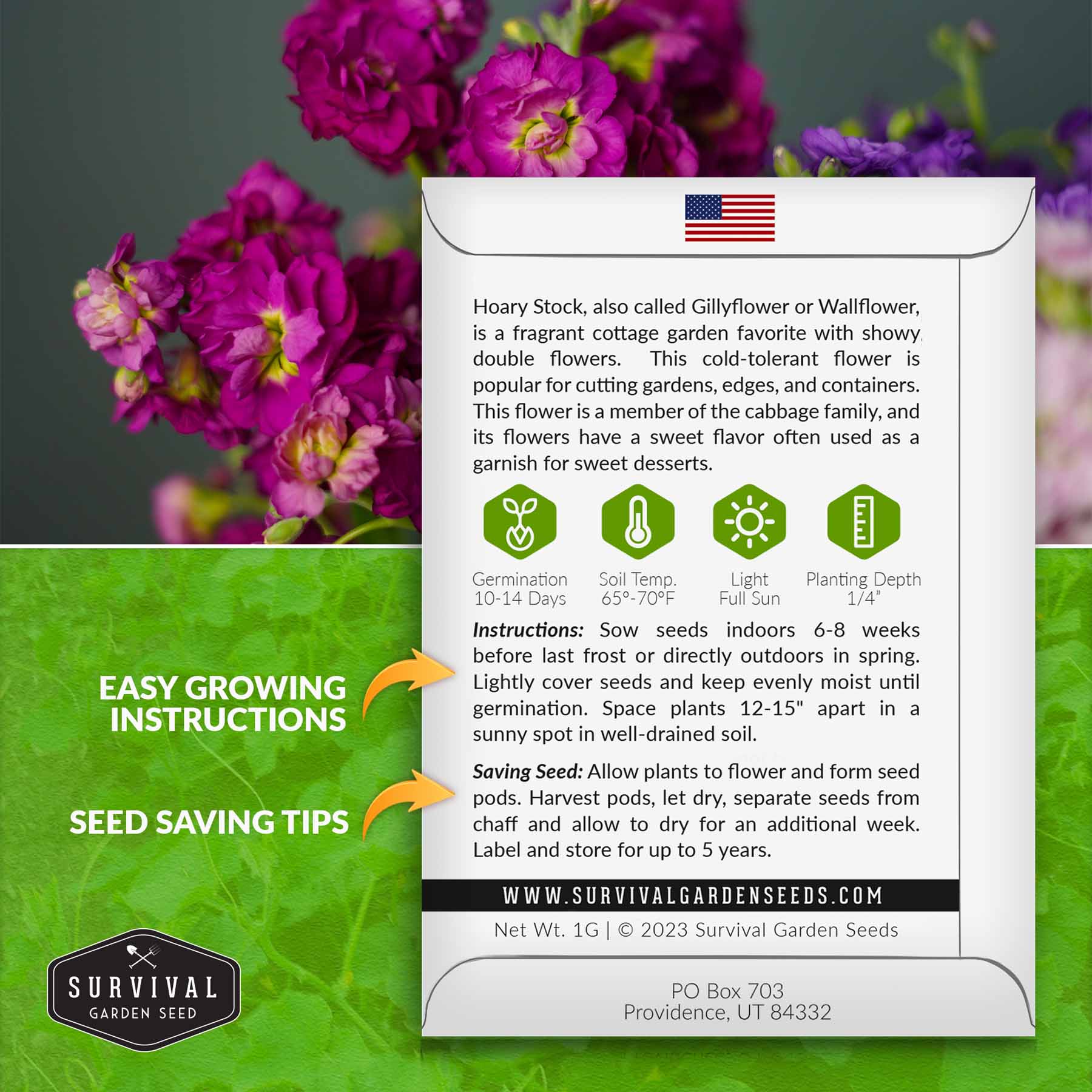 Hoary Stock Seeds - Gillyflower (Matthiola Incana) for Garden Planting, Landscaping & Floral Arrangements | Fragrant Cut Flowers for Bouquets & Home Decor