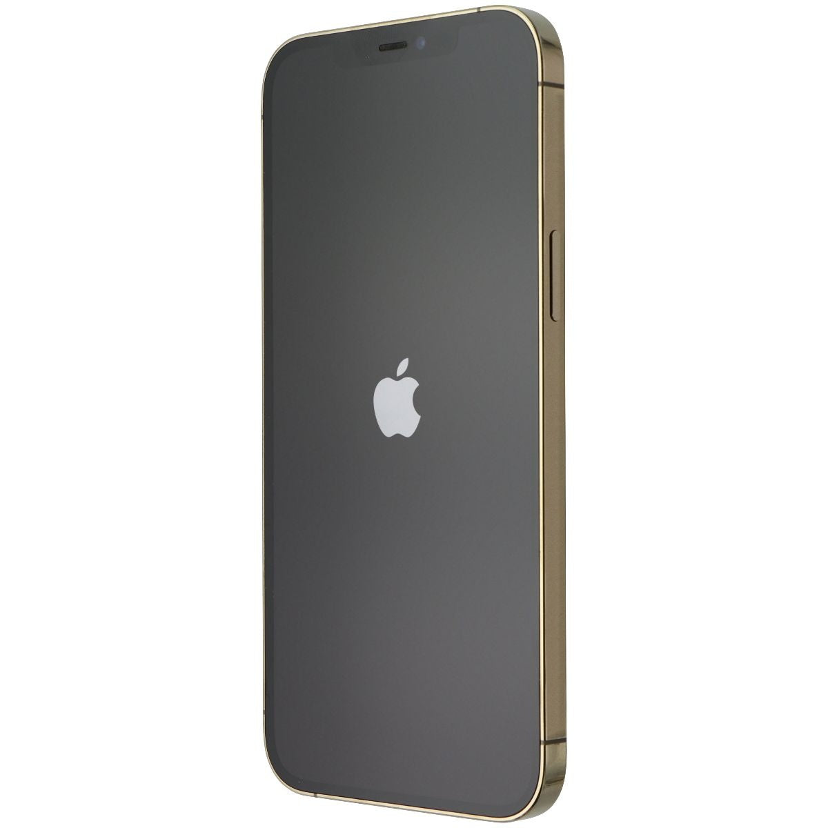 Apple iPhone 12 Pro Max 6.7