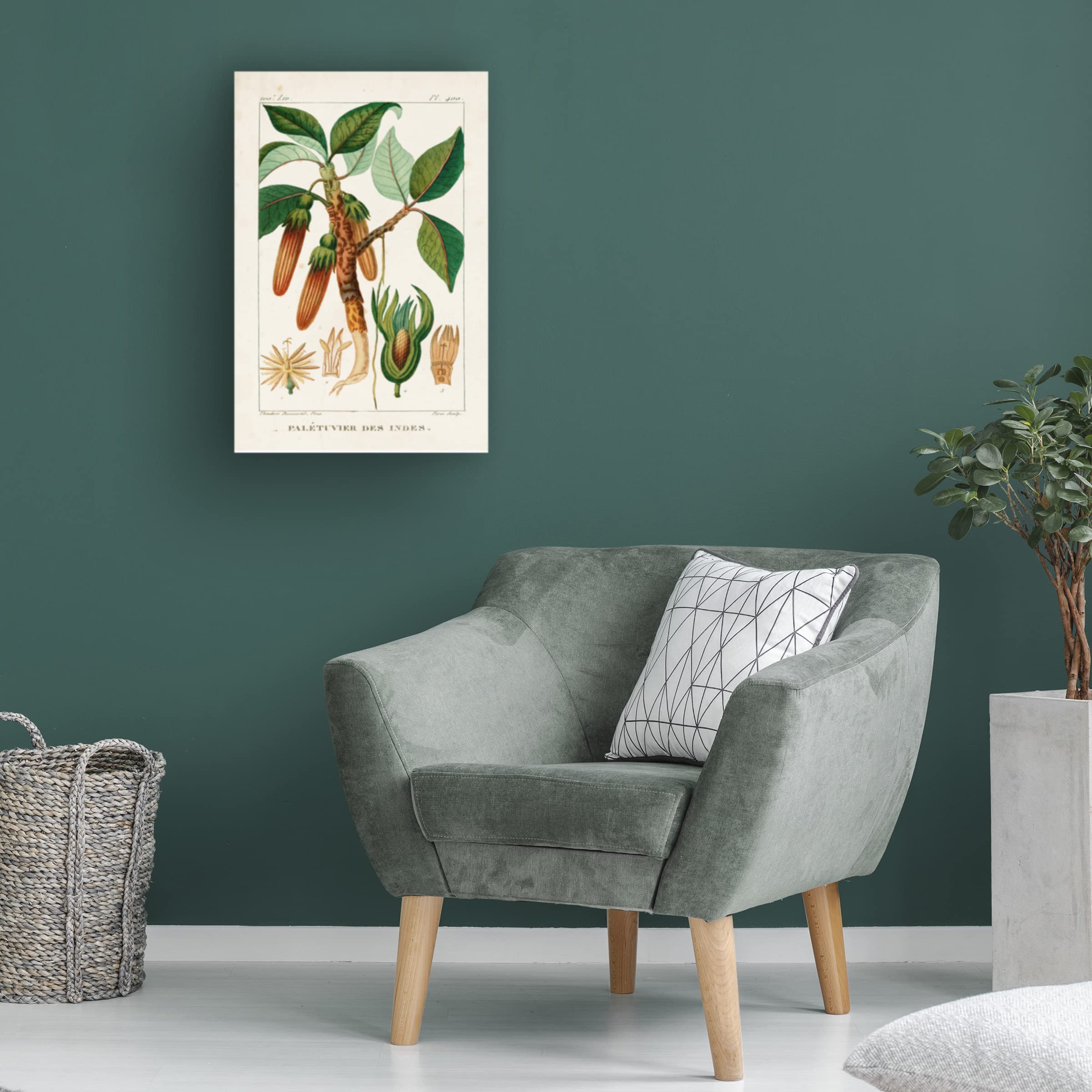 Trademark Fine Art 'Turpin Foliage And Fruit I' Canvas Art Print by Turpin - Stunning Botanical Wall Decor for Living Room, Bedroom & Office