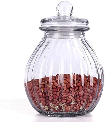 Large Glass Storage Jars with Lids - 32cm Wide Mouth Transparent Cookie Canisters for Kitchen, Pantry Organization | Perfect for Home, Hotel & Bulk Food Storage
