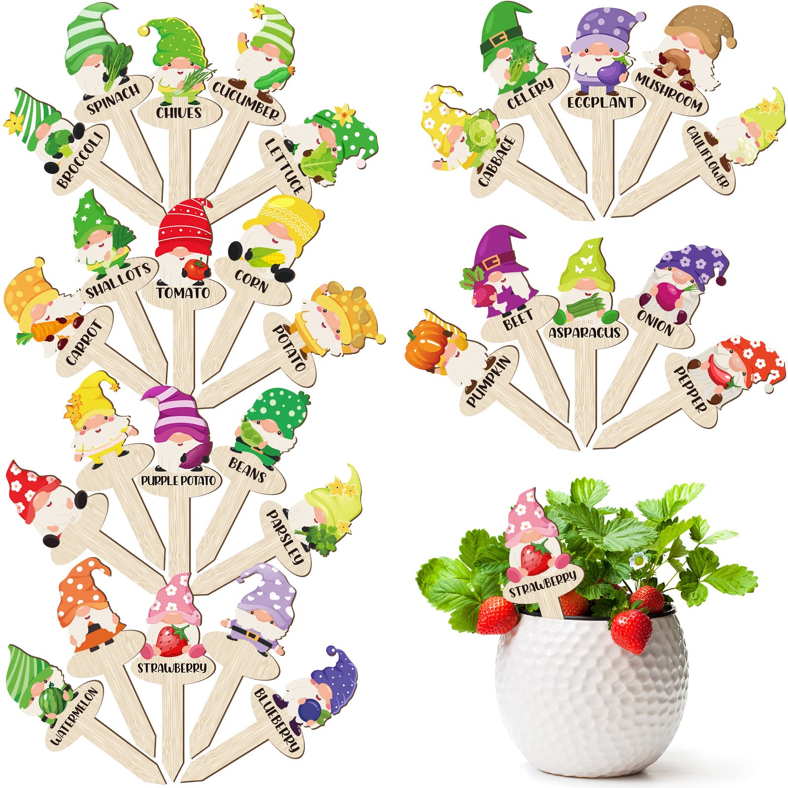 Qunclay 30 Pcs Funny Gnome Wooden Garden Markers - T-Type Plant Labels for Vegetables, Flowers & Outdoor Gardening - Perfect for Plant Identification & Gardening Gifts (Great for Vegetable Patches, Flower Beds & Herb Gardens)