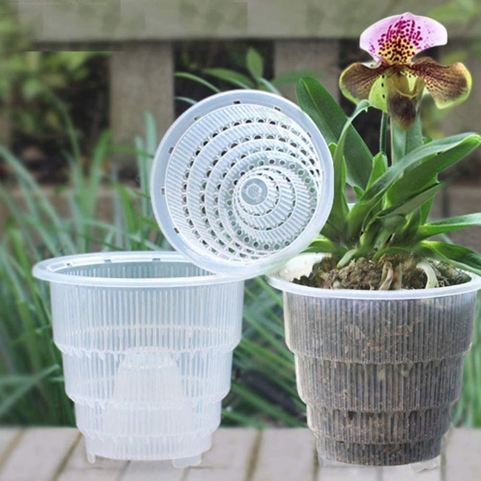 Breathable Plastic Orchid Pot with Drainage Holes - Ideal for Indoor Plants, Home Garden, Balcony & Desktop Decor | Perfect for Orchids, Succulents & Houseplants