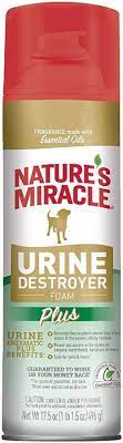 Dog Urine Destroyer Foam Spray - Eliminates Odors & Stains for Carpets, Floors & Pet Areas | Indoor & Outdoor Use