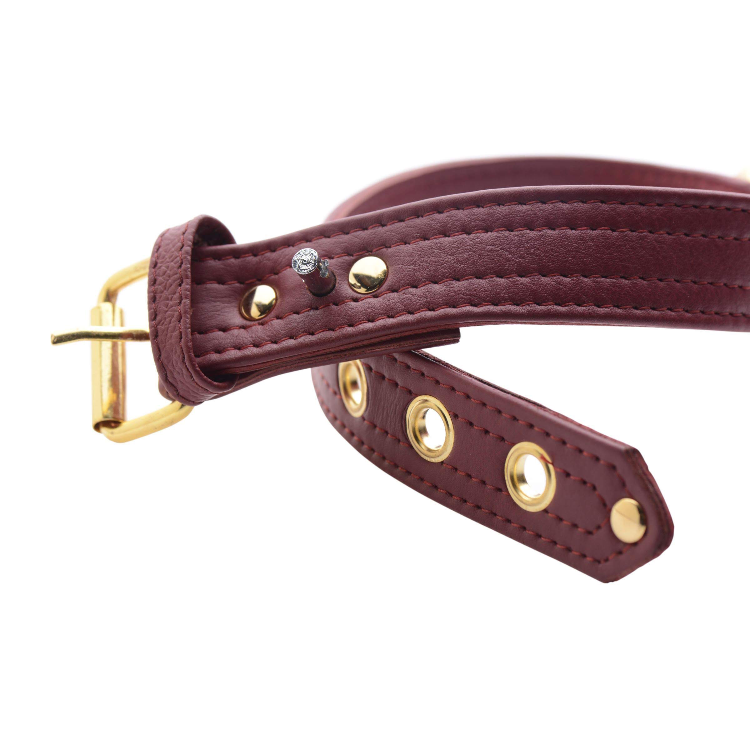 Premium Unisex Locking Collar - Adjustable Secure Necklace for Men & Women - Perfect for BDSM, Fashion Accessories, and Pet Play Scenes