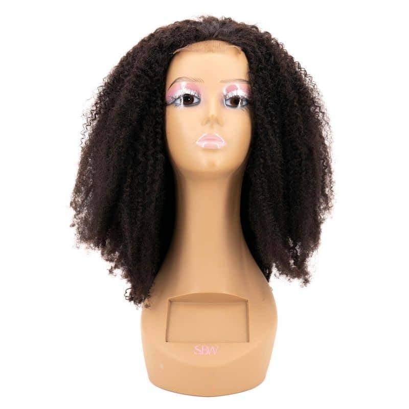 Afro Kinky Curly 4x4 Transparent Lace Closure Wig - Natural Black Human Hair - Perfect for Protective Styles & Everyday Wear