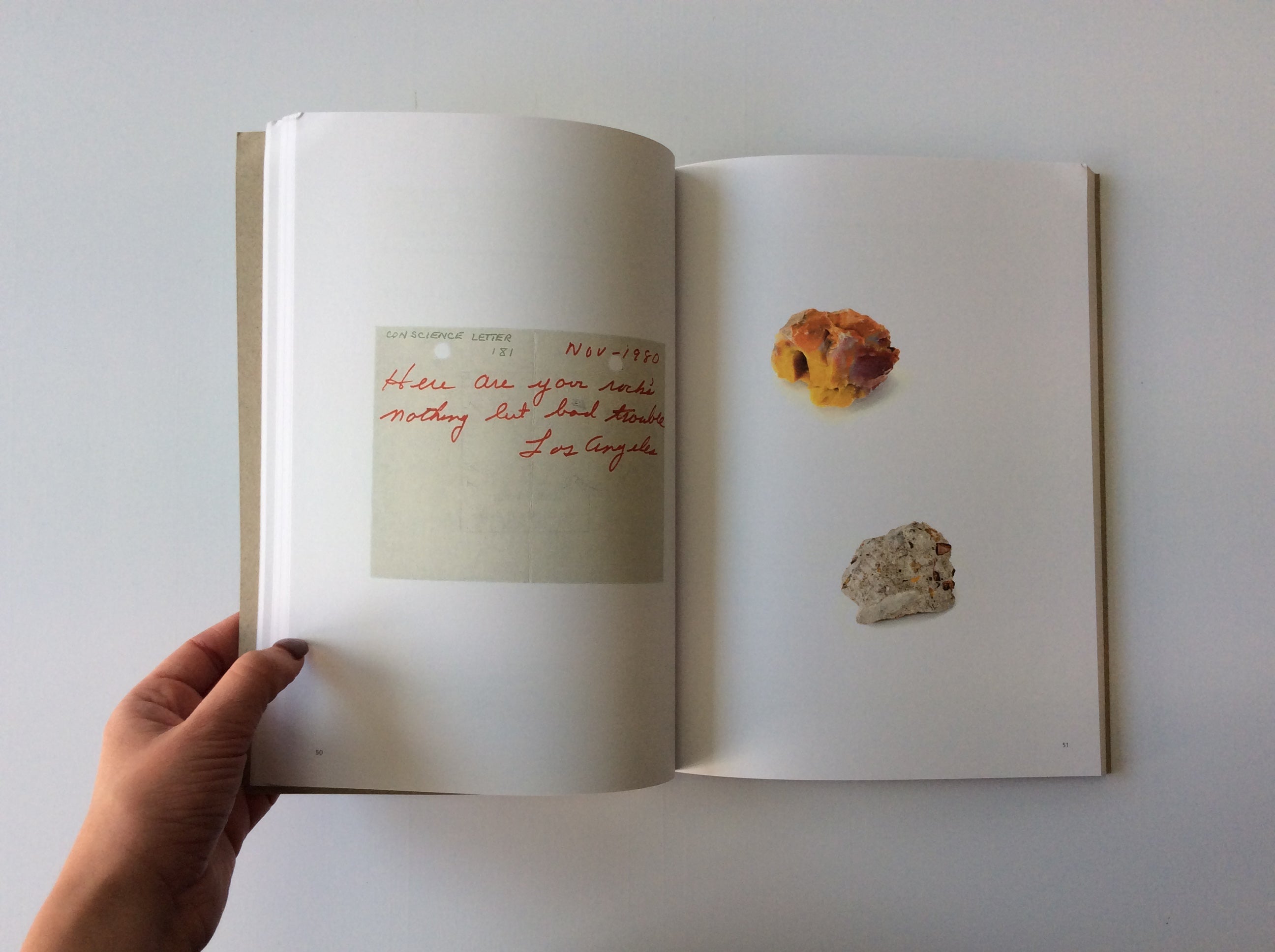 Bad Luck, Hot Rocks: Conscience Letters & Petrified Forest Photos - Perfect for Geology Enthusiasts & National Park Souvenirs
