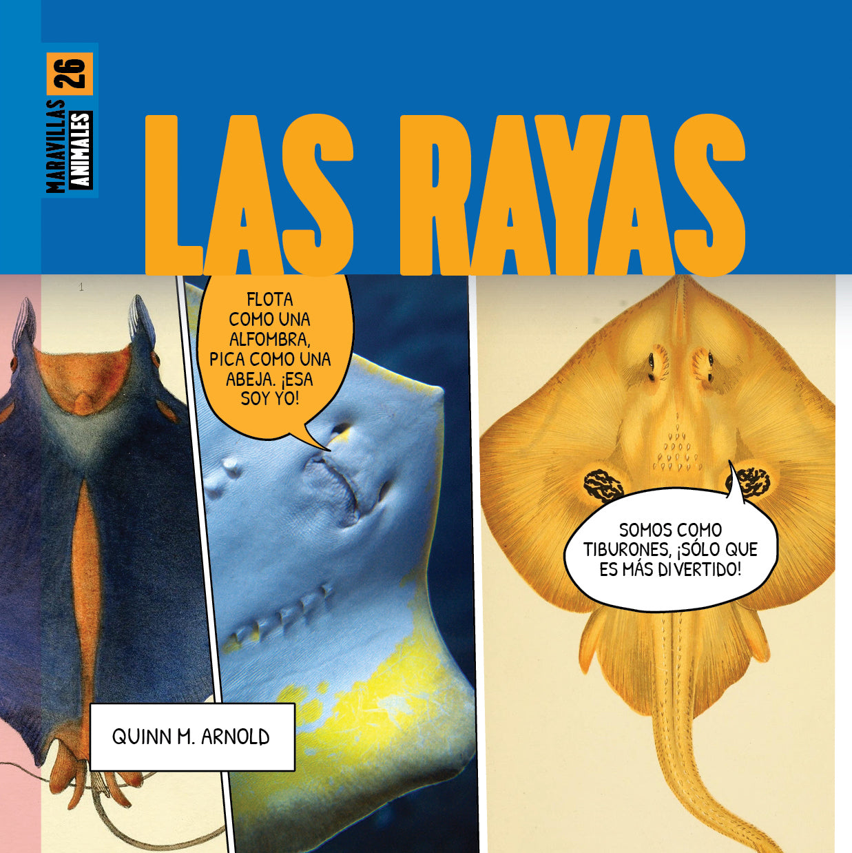 Las Rayas Maravillas - Premium Striped Fashion Accessories for Women | Perfect for Casual Outfits, Parties & Everyday Wear