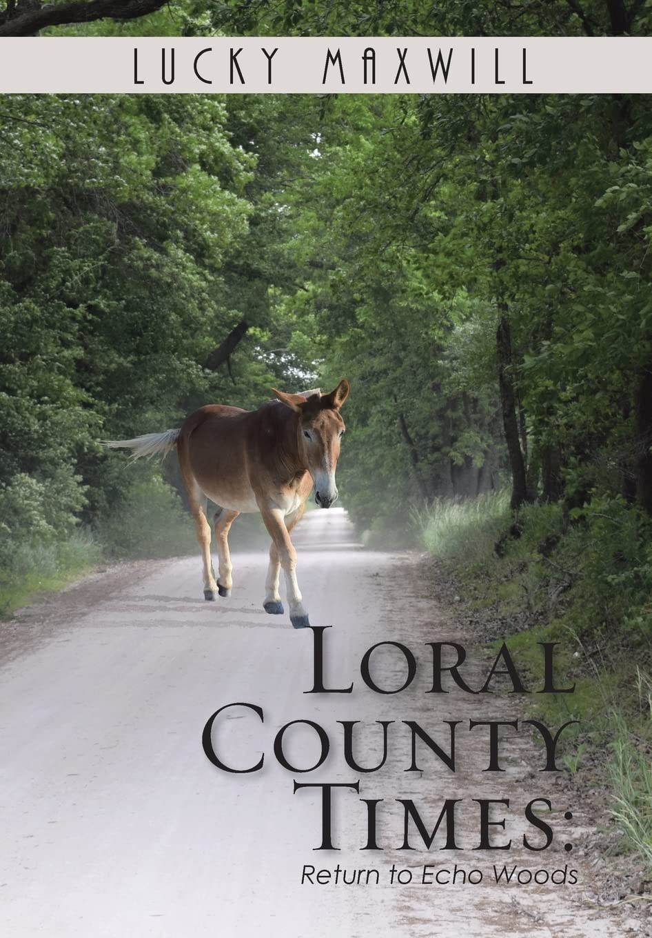 LORAL COUNTY TIMES: Return to Echo Woods - Mystery Novel | Small Town Secrets & Supernatural Thriller | Perfect for Book Clubs & Halloween Reading