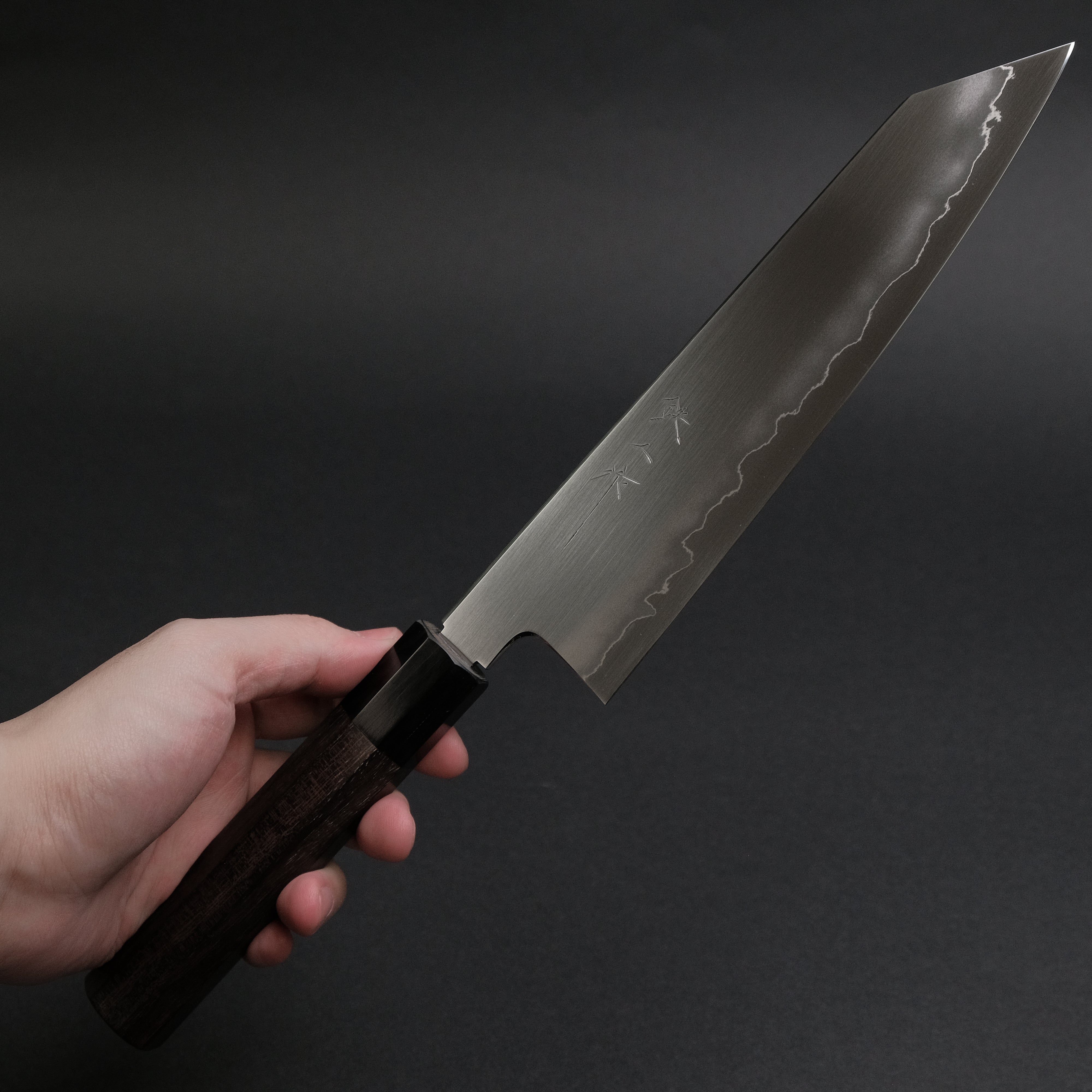 Tetsujin Silver #3 Ukiba Kiritsuke Gyuto 210mm Japanese Chef Knife with Taihei Rosewood Handle - Perfect for Sushi, Sashimi & Precision Vegetable Cutting