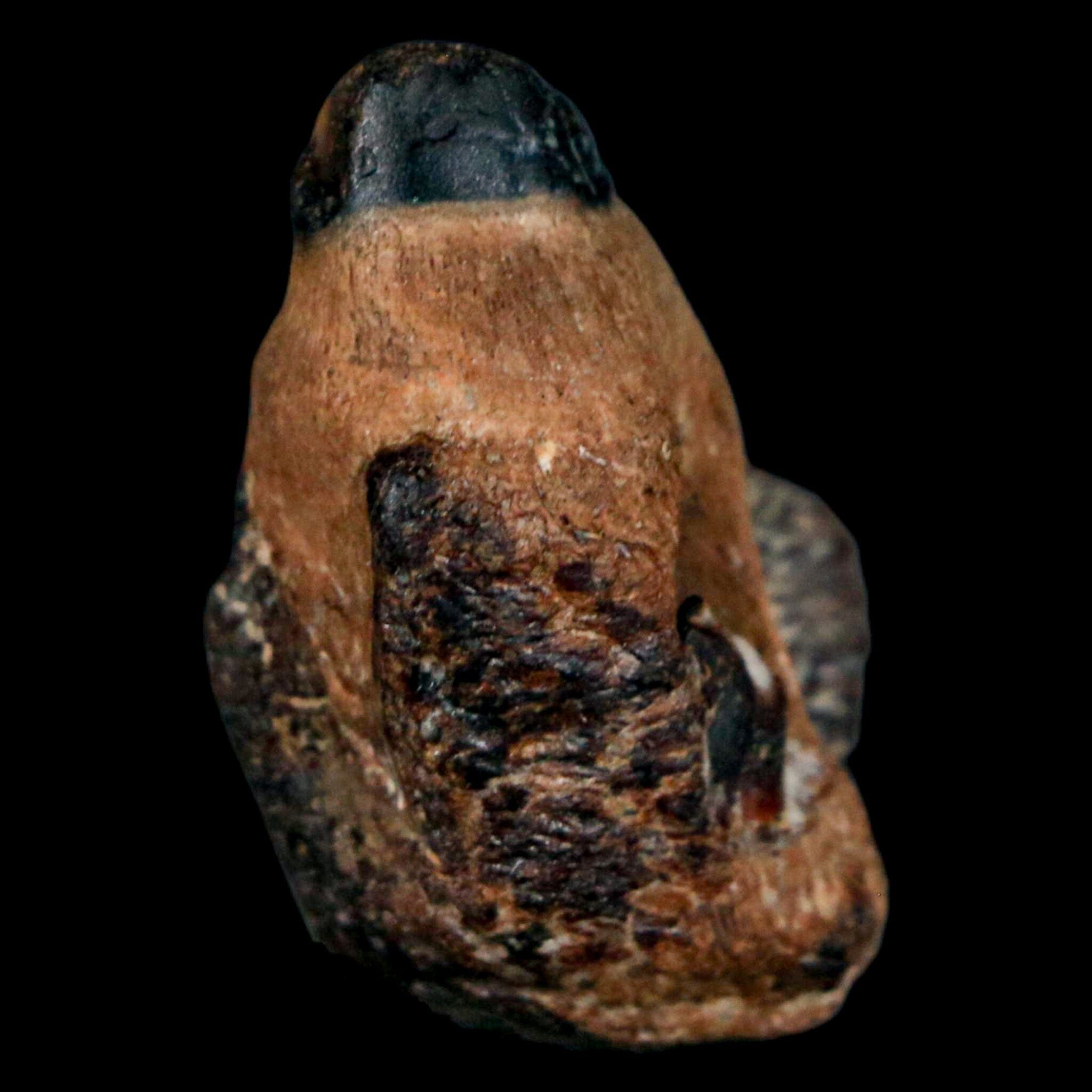 1.2