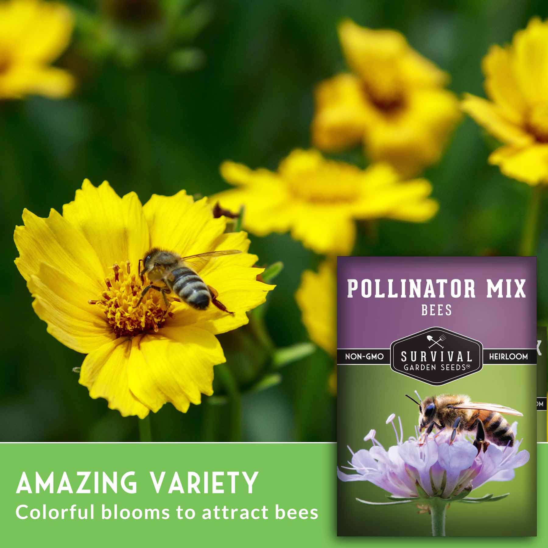 **Pollinator Flower Seeds Mix - Attract Bees & Butterflies to Your Garden - Perfect for Backyard, Patio & Pollinator Gardens**