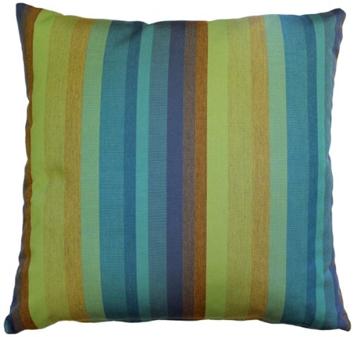 Sunbrella Outdoor Pillow Set of 2 (20