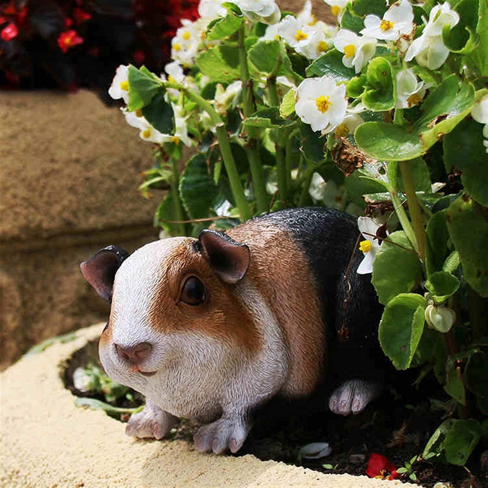 Guinea Pig Garden Statue - 3.9