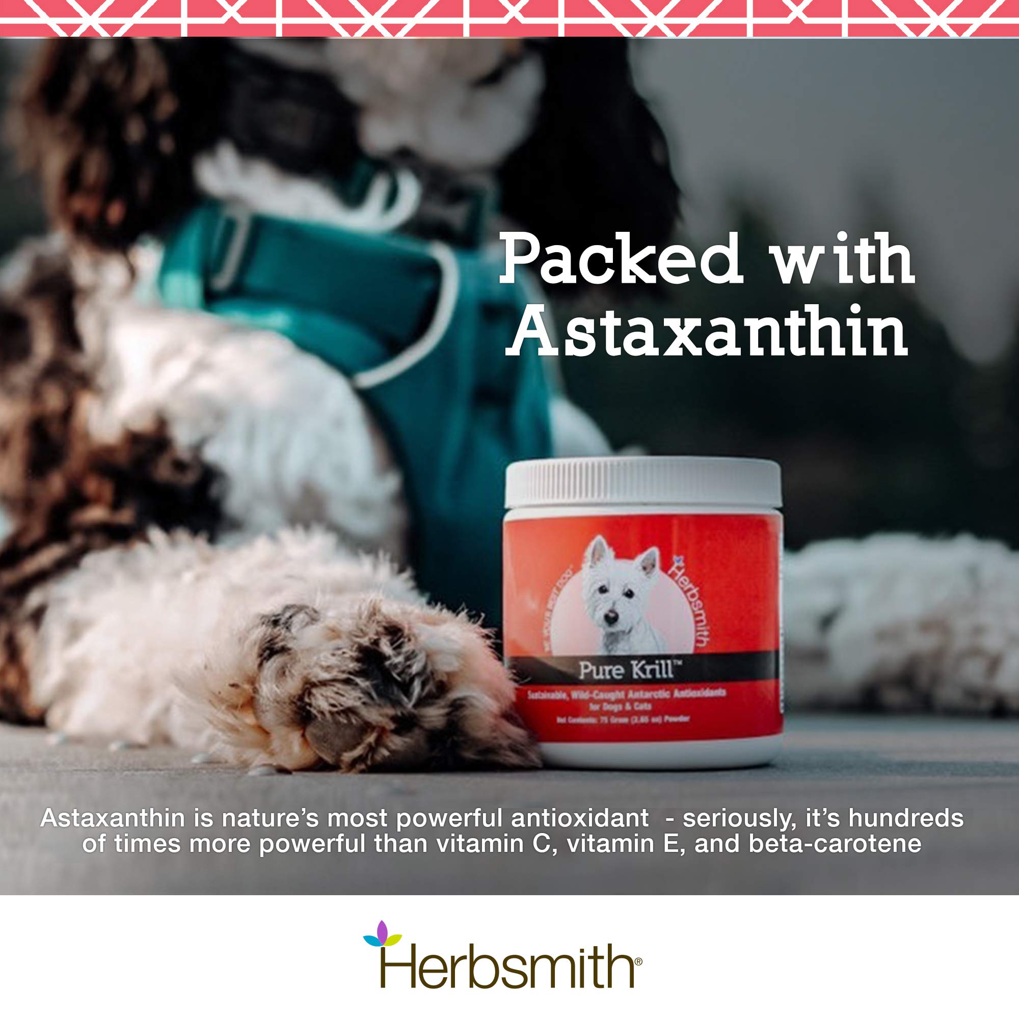 Herbsmith Pure Krill for Dogs - Wild-Caught Antarctic Krill Oil Supplement with Natural Astaxanthin - Single Ingredient Omega 3 Fatty Acids - 400g Ready-to-Use Powder - Supports Joint, Skin & Coat Health - Perfect for Senior Dogs & Active Pets