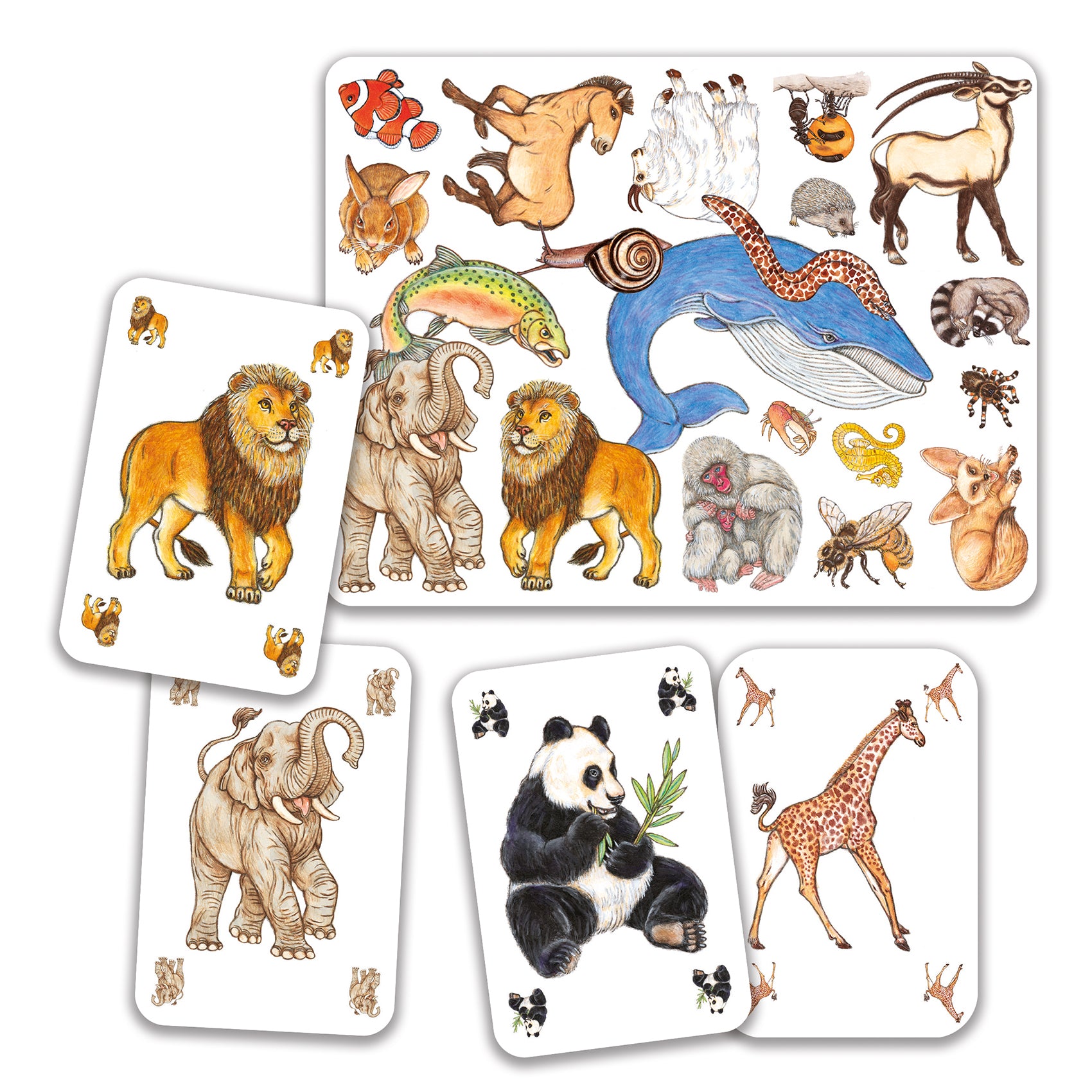 Zanimatch Family Board Game - Fun Matching Card Game for Kids & Adults - Perfect for Family Game Nights, Parties & Travel