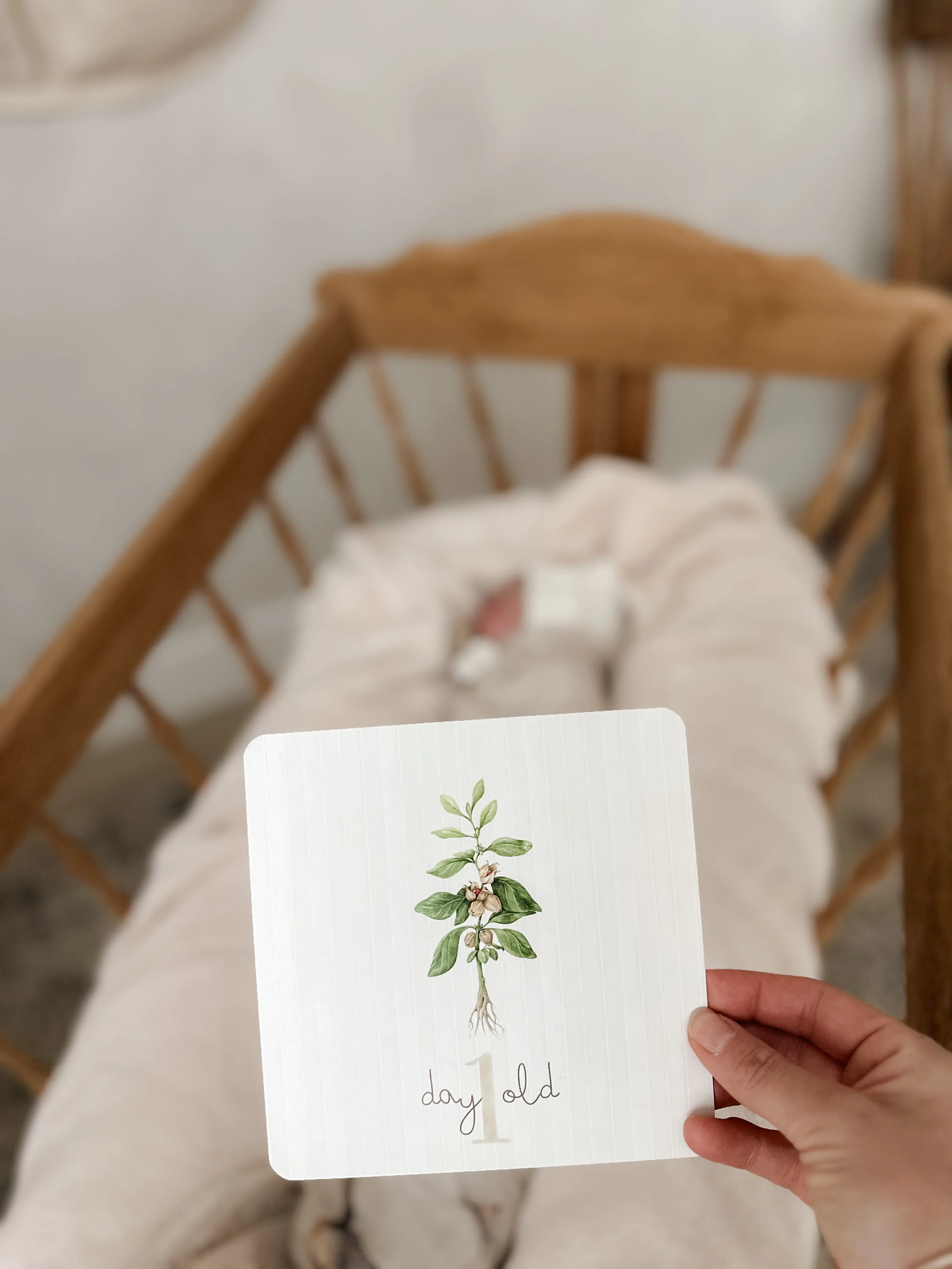 Pop Ya Tot Botanical Milestone Card Set - Baby Growth Photo Props & Newborn Memory Keepsake - Perfect for Monthly Baby Pictures, First Birthday, and Nursery Decor