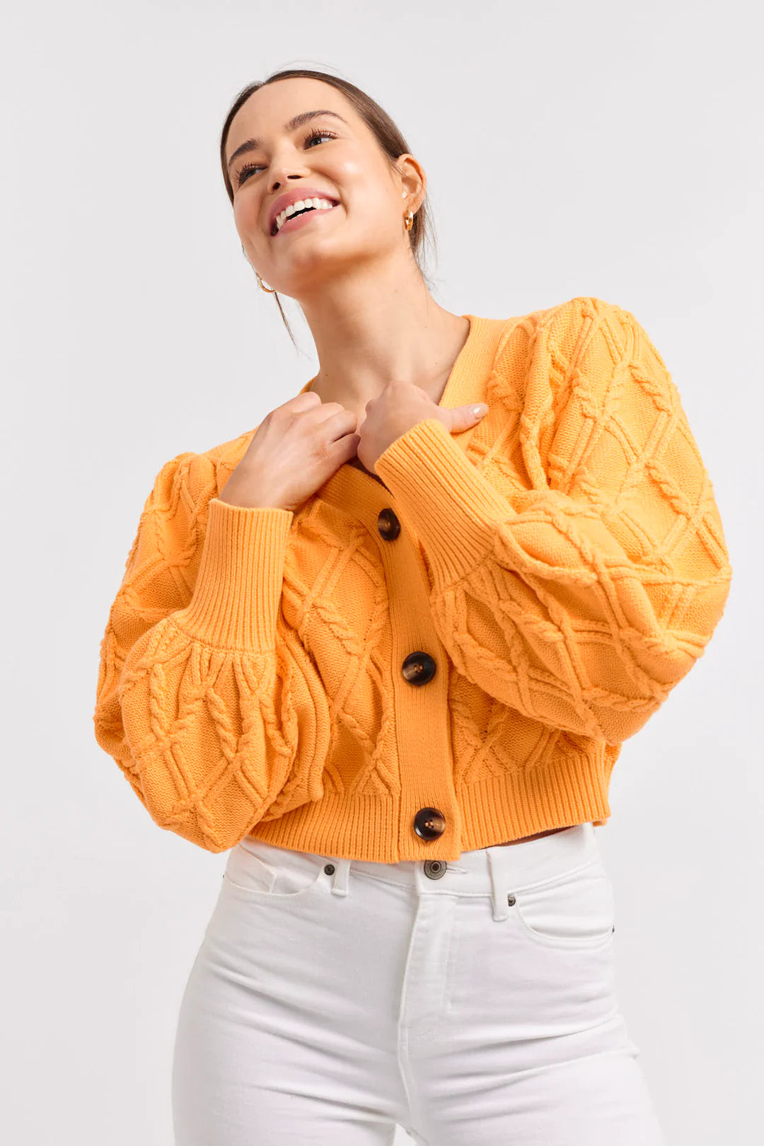 ELENA CARDI Mandarin Collar Blouse - Elegant Women's Fashion Top for Work, Office & Casual Wear
